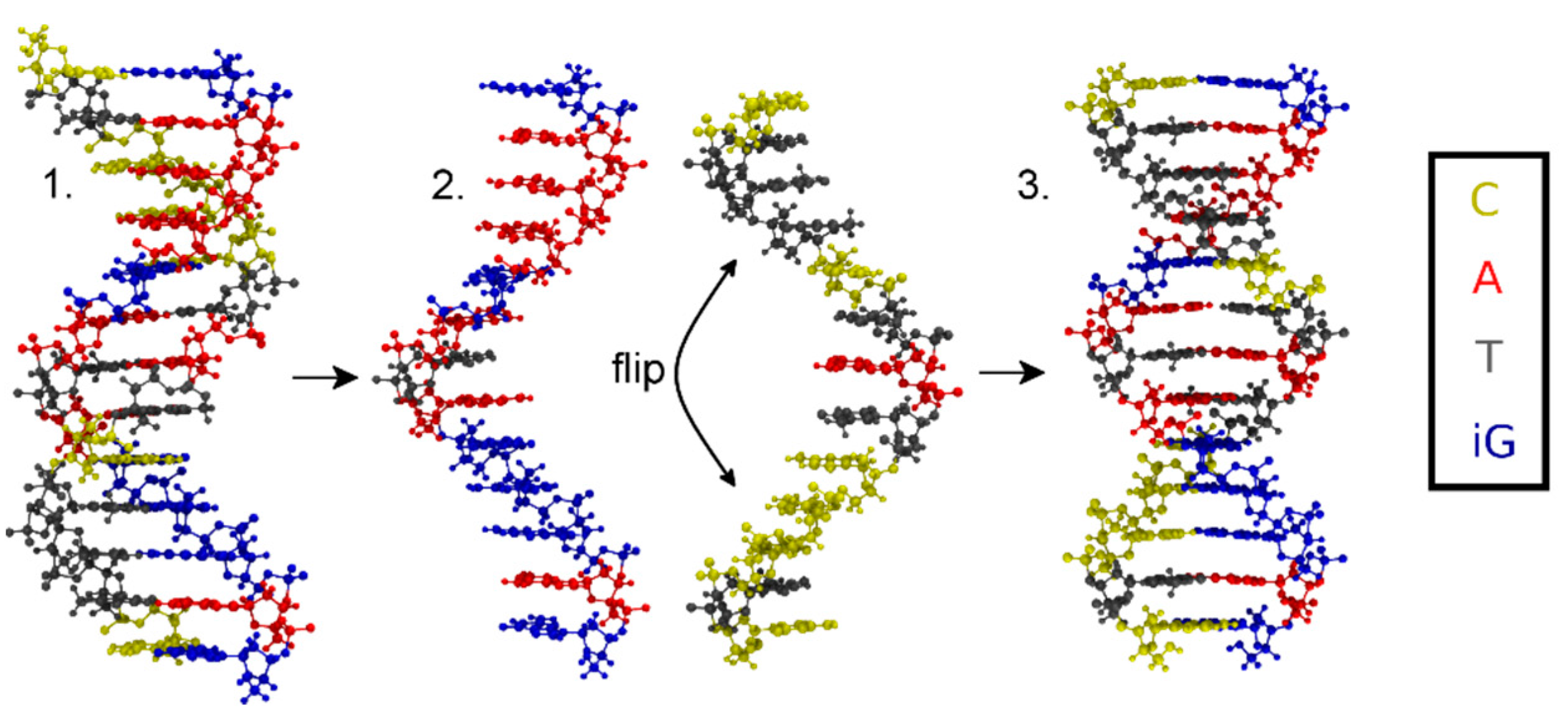 Molecules 25 04942 g003 Molecules 25 04942 g003