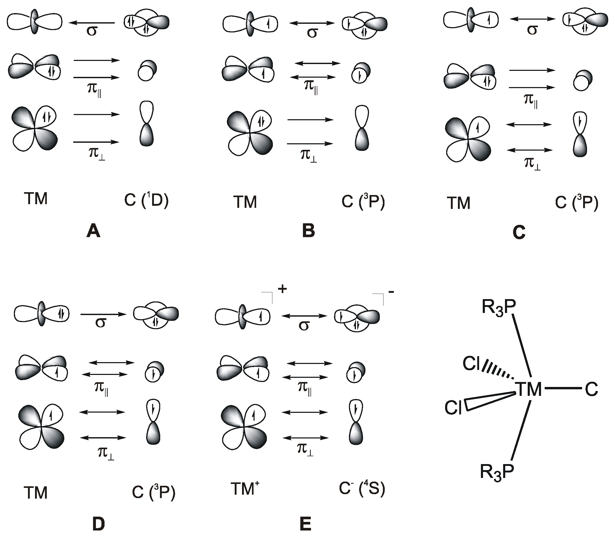 Molecules 25 04943 g020