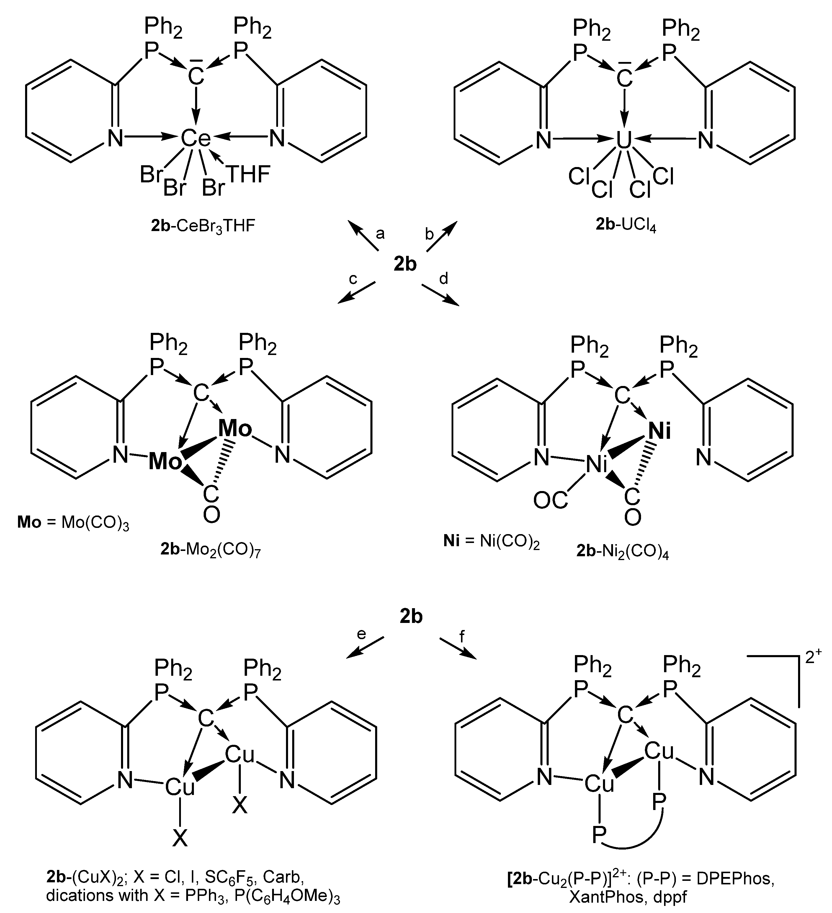 Molecules 25 04943 sch007