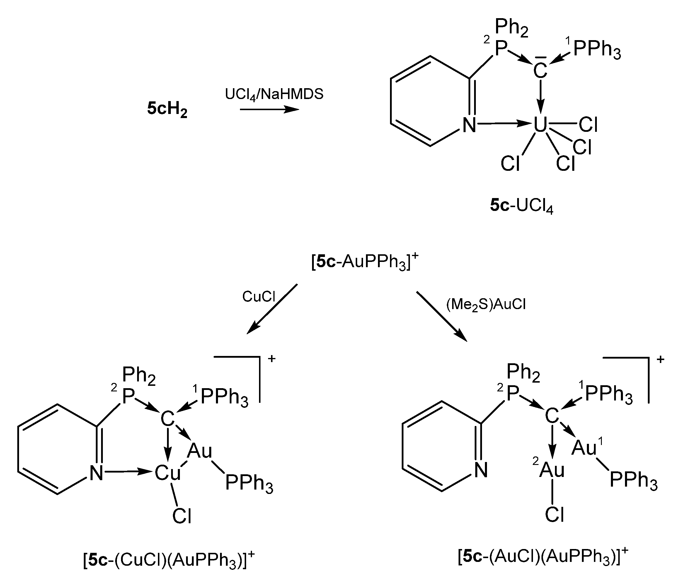 Molecules 25 04943 sch013