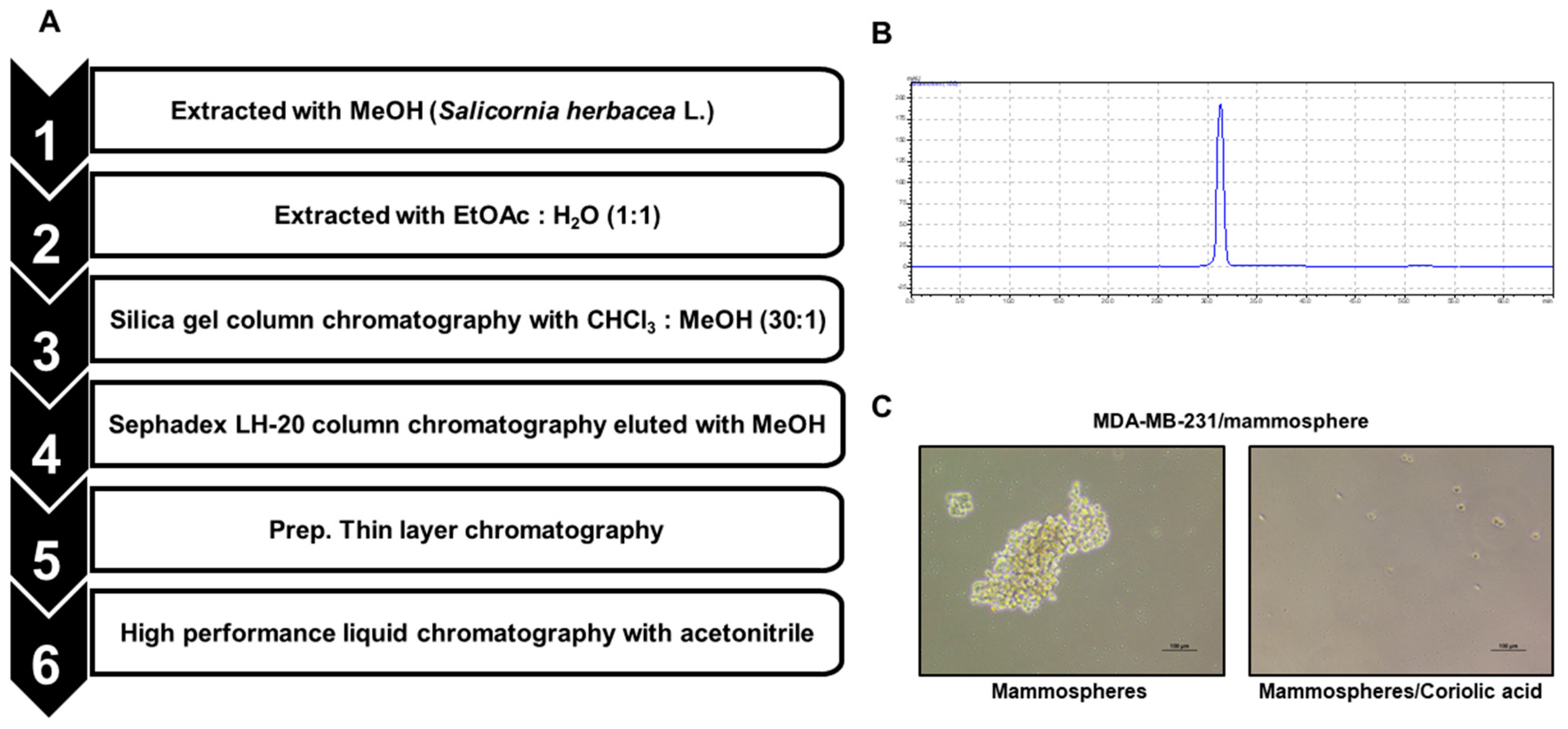 Molecules 25 04950 g001 Molecules 25 04950 g001