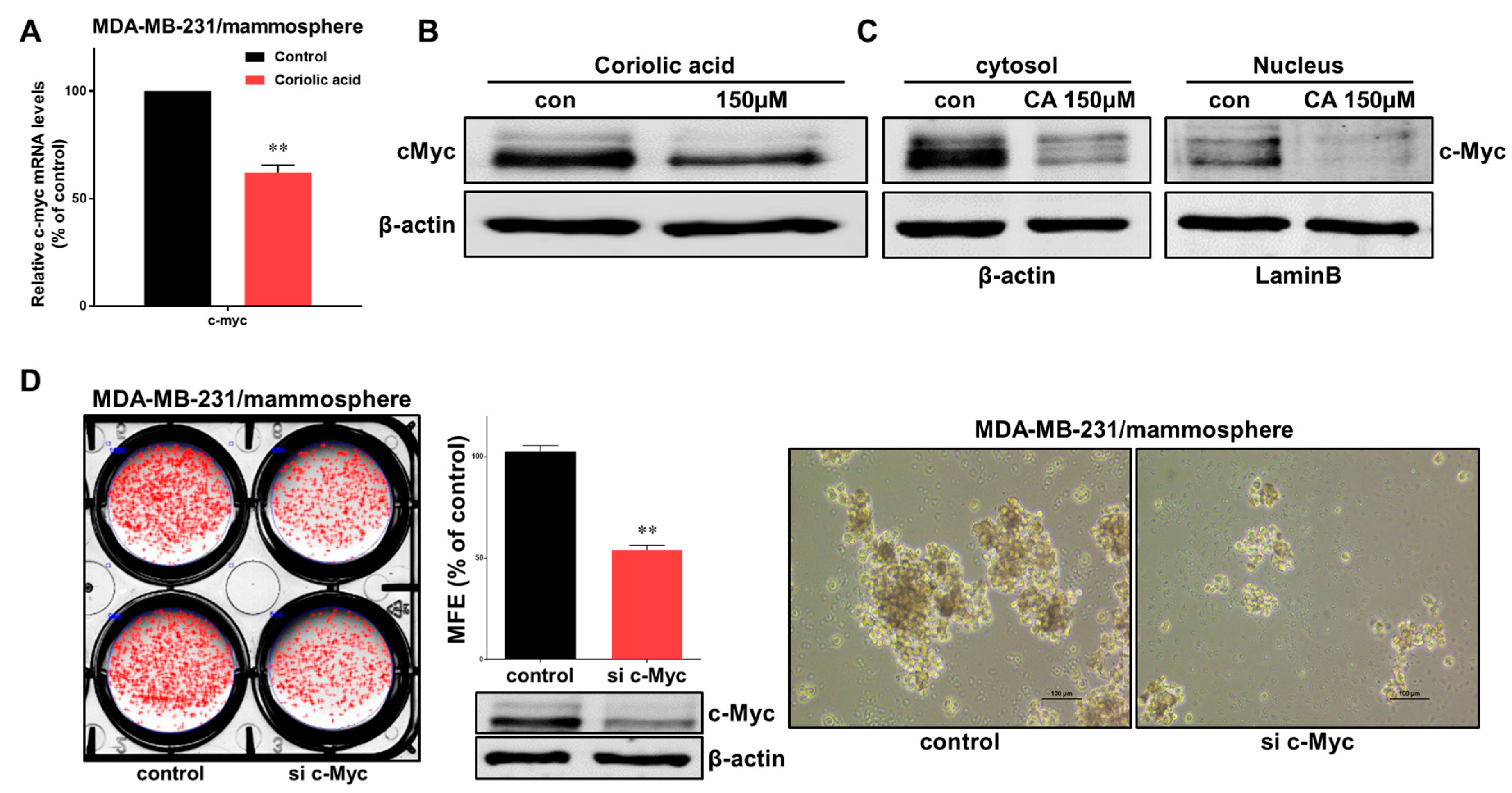 Molecules 25 04950 g006 Molecules 25 04950 g006