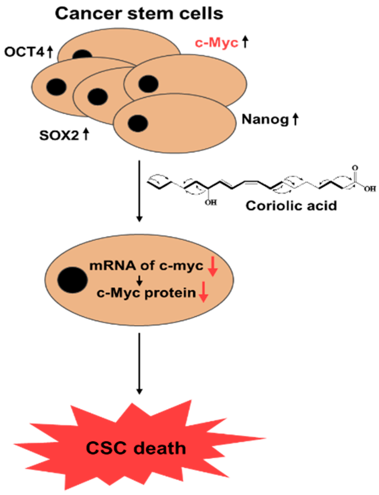 Molecules 25 04950 g007 Molecules 25 04950 g007
