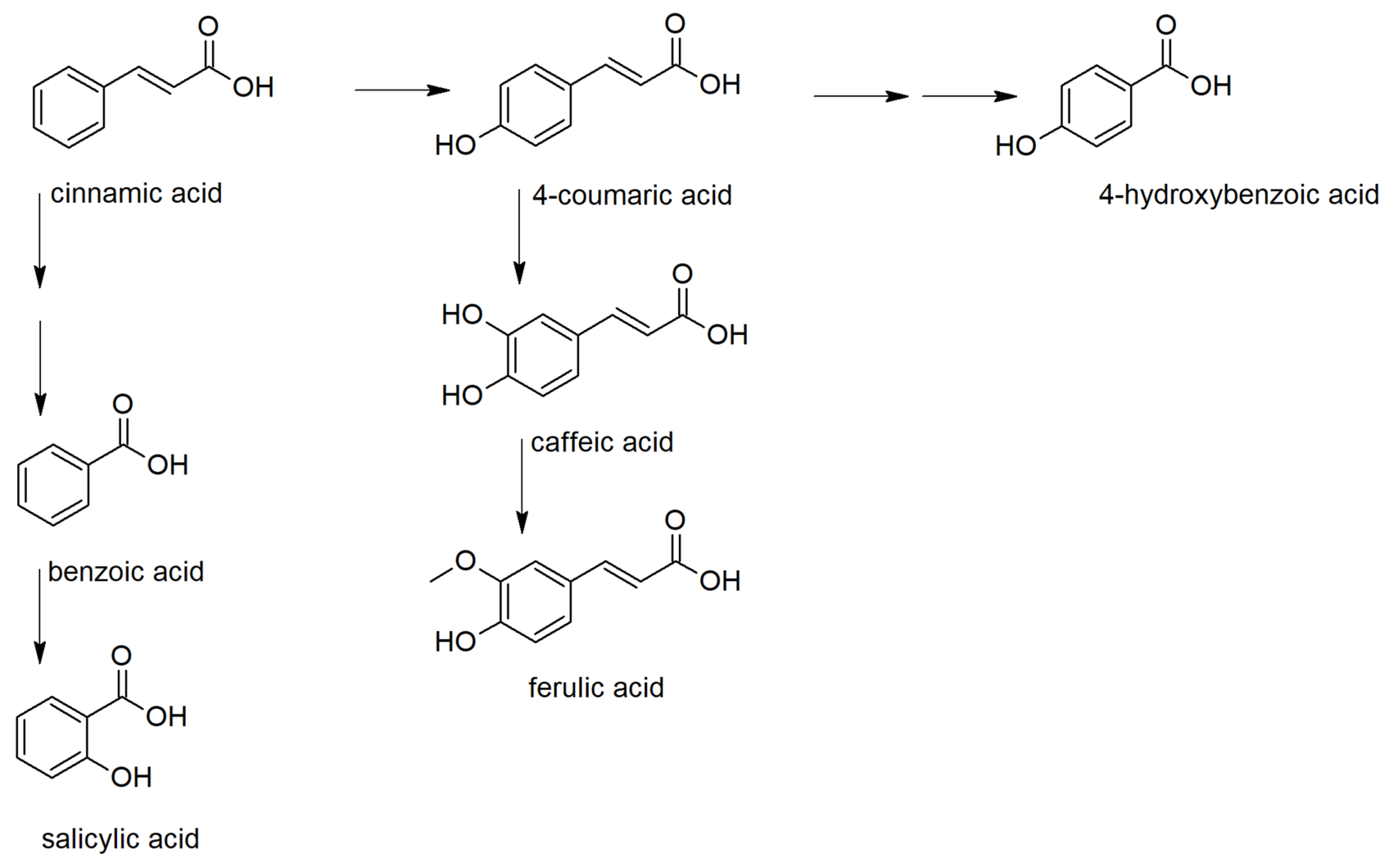 Molecules 25 04952 g002