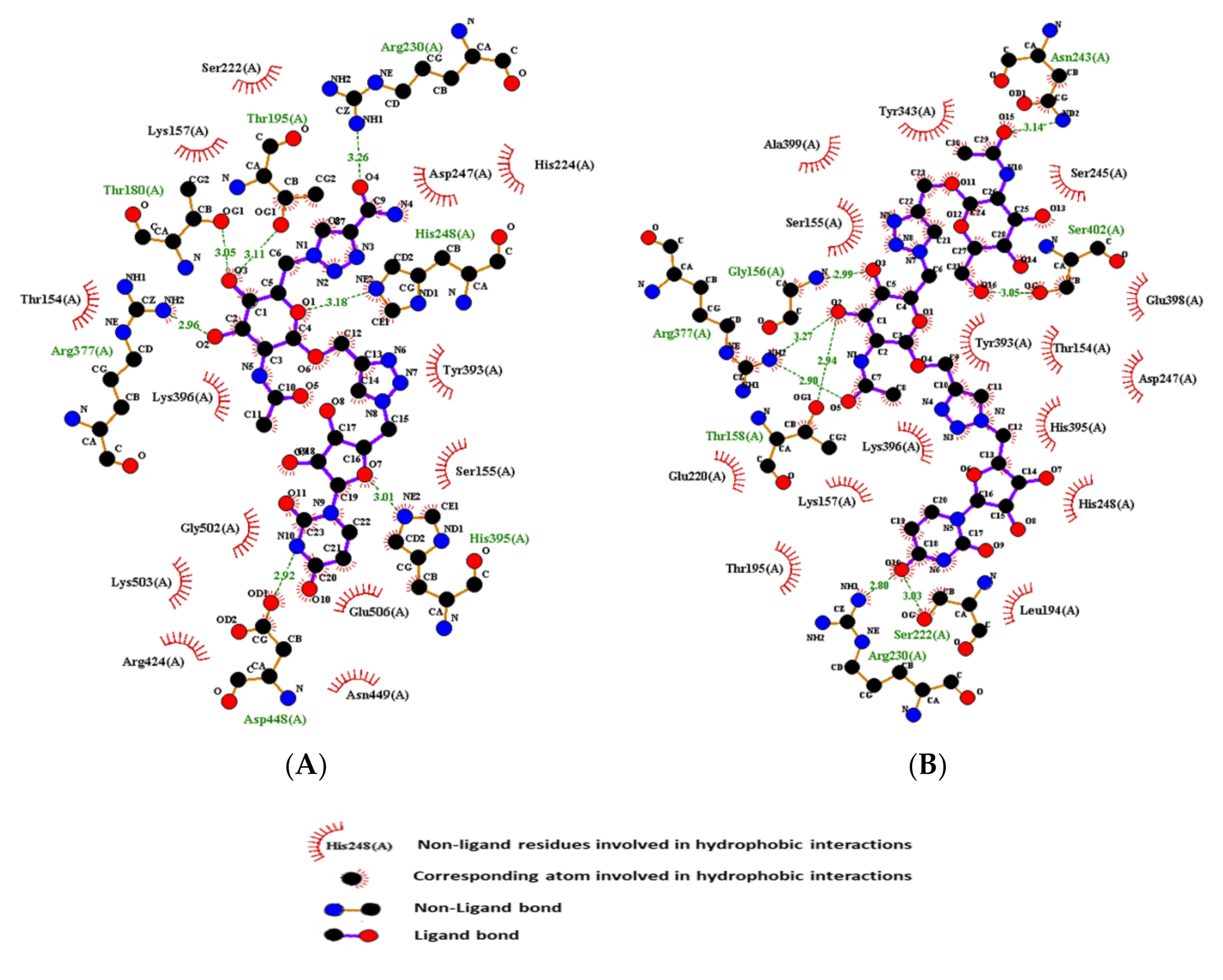 Molecules 25 04953 g002 Molecules 25 04953 g002