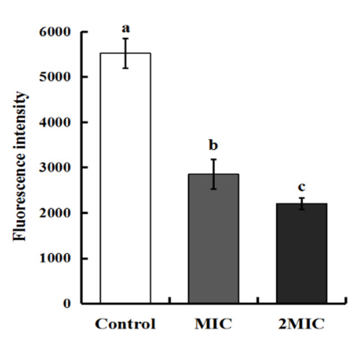 Molecules 25 04956 g002