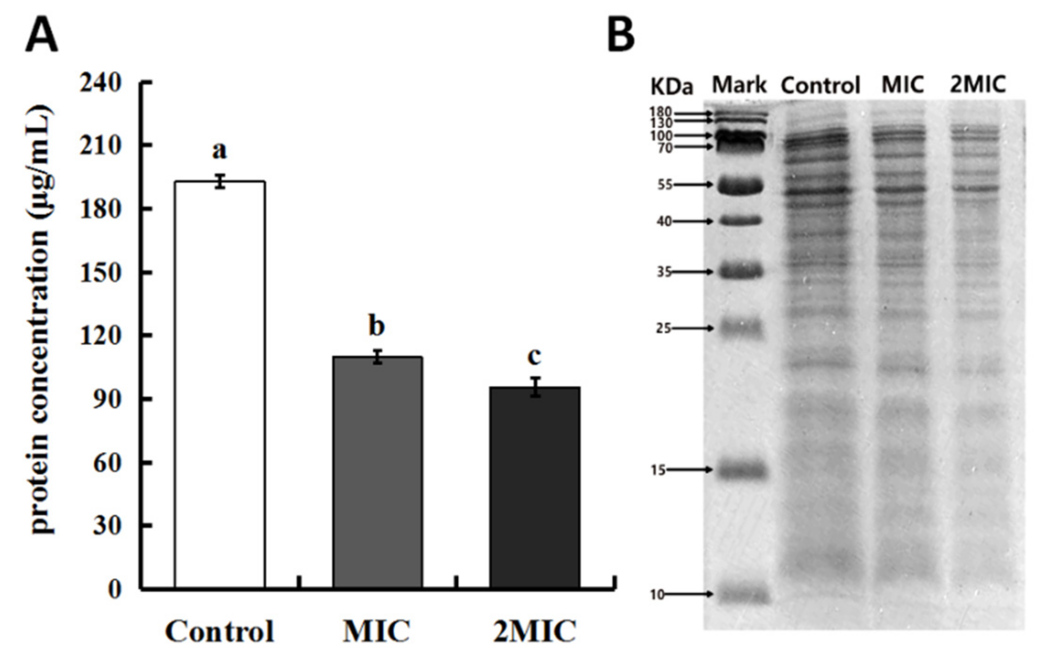 Molecules 25 04956 g004