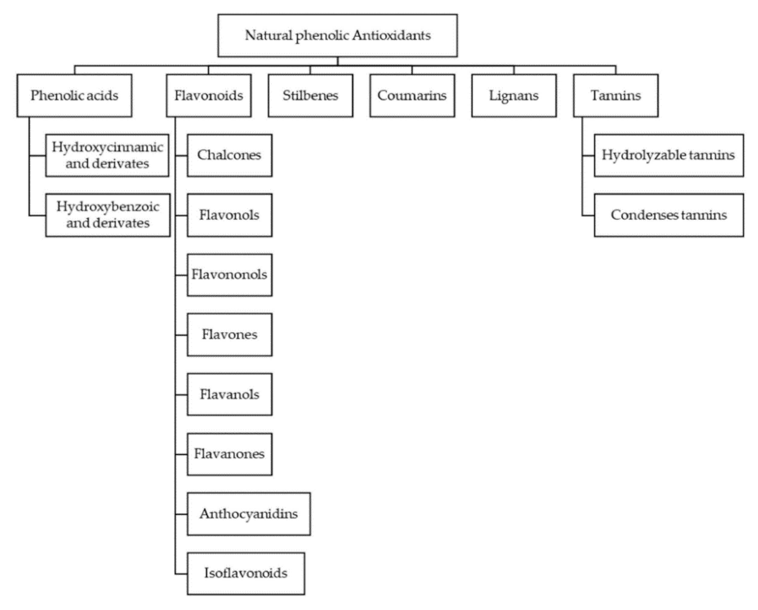 Molecules 25 04960 g001