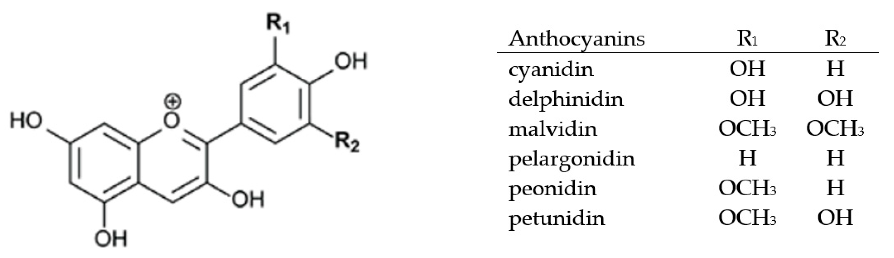 Molecules 25 04960 g010