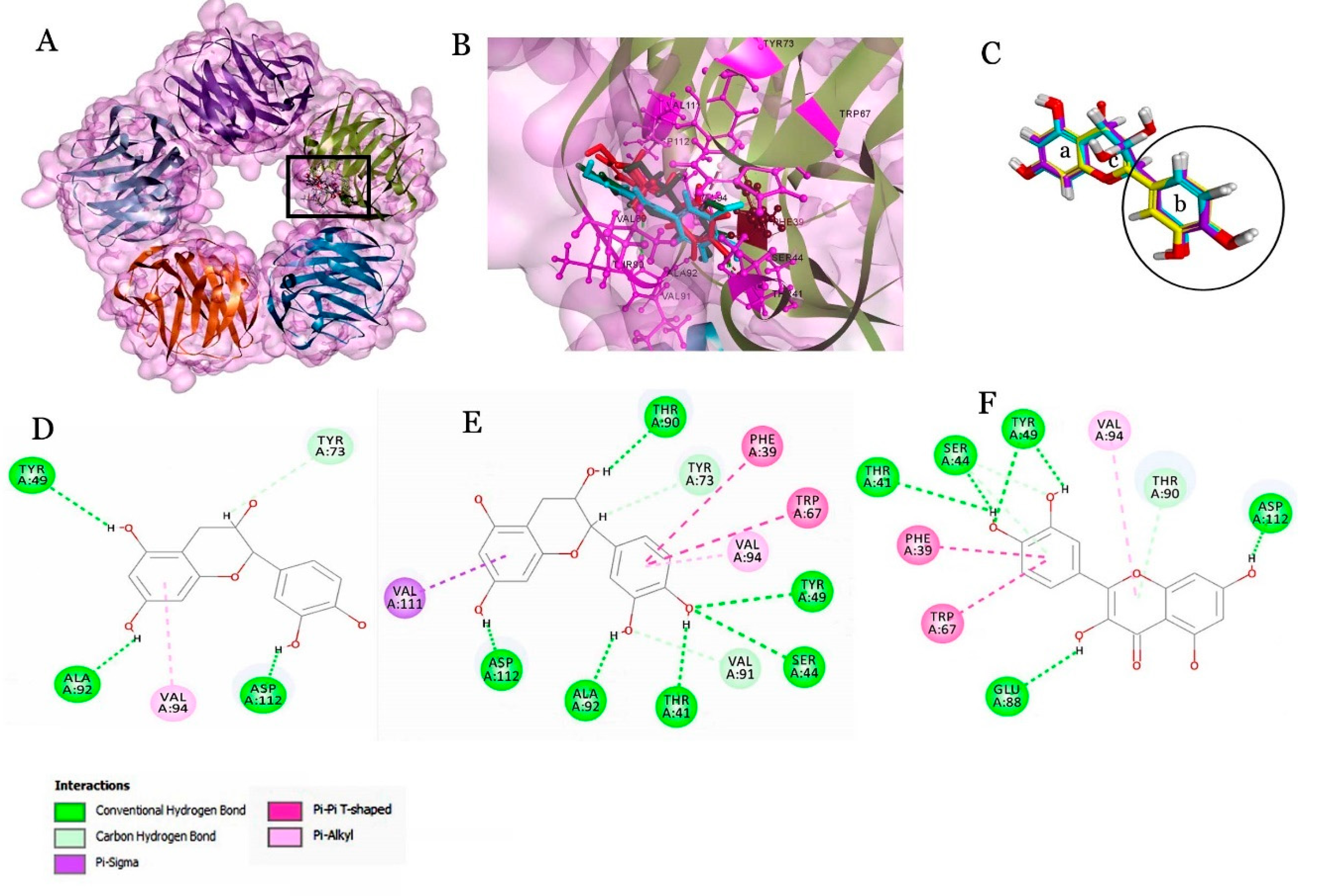 Molecules 25 04962 g001