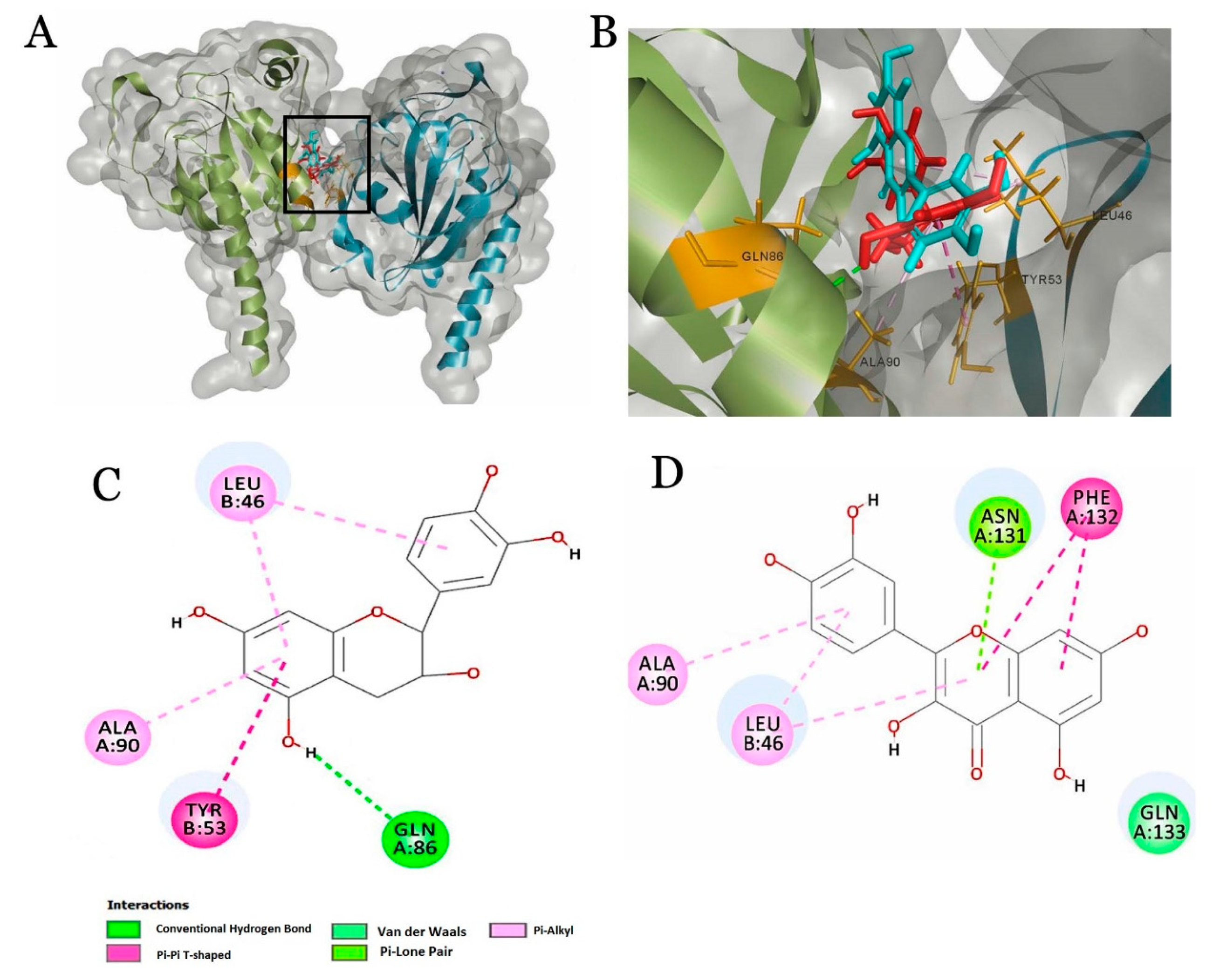Molecules 25 04962 g003