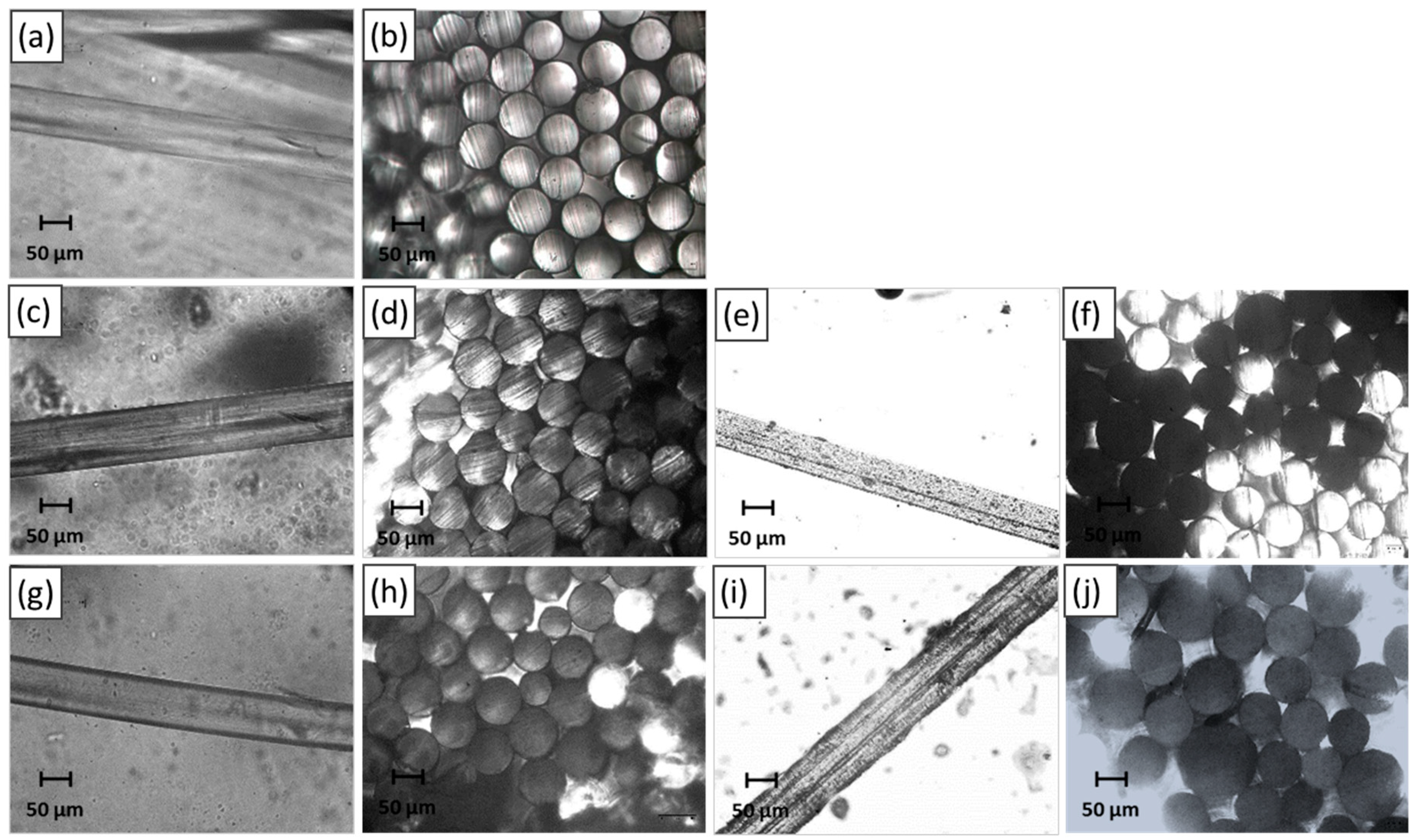 Molecules 25 04963 g002