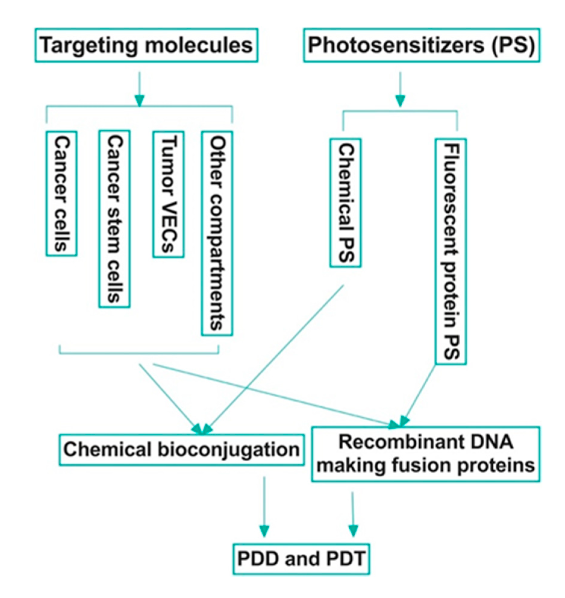 Molecules 25 04964 g001