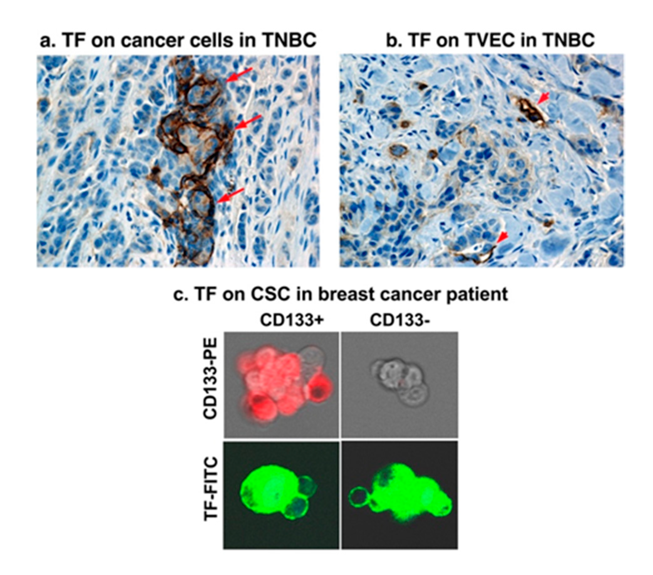 Molecules 25 04964 g003
