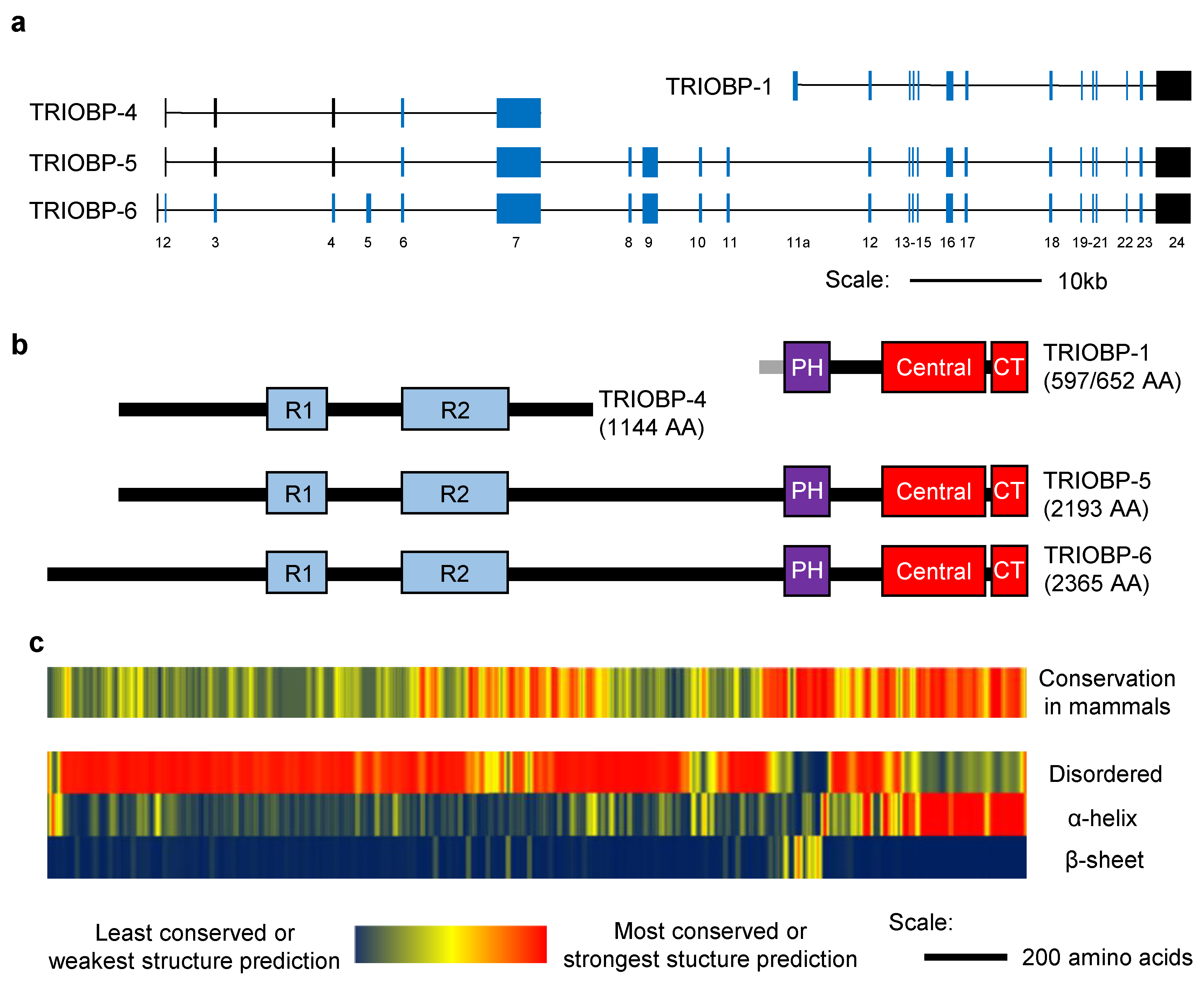 Molecules 25 04967 g001 Molecules 25 04967 g001