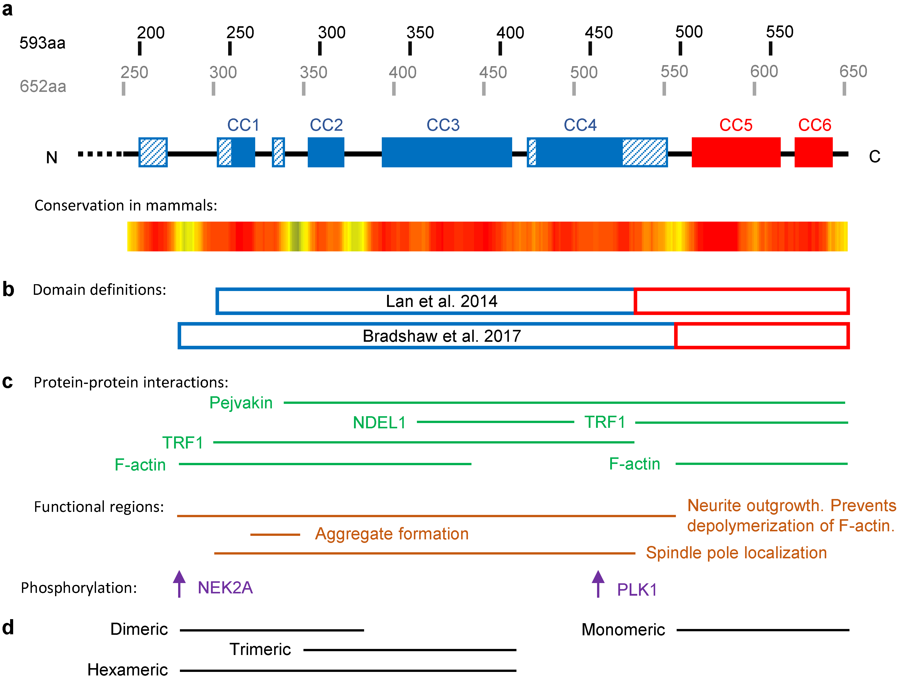 Molecules 25 04967 g003 Molecules 25 04967 g003
