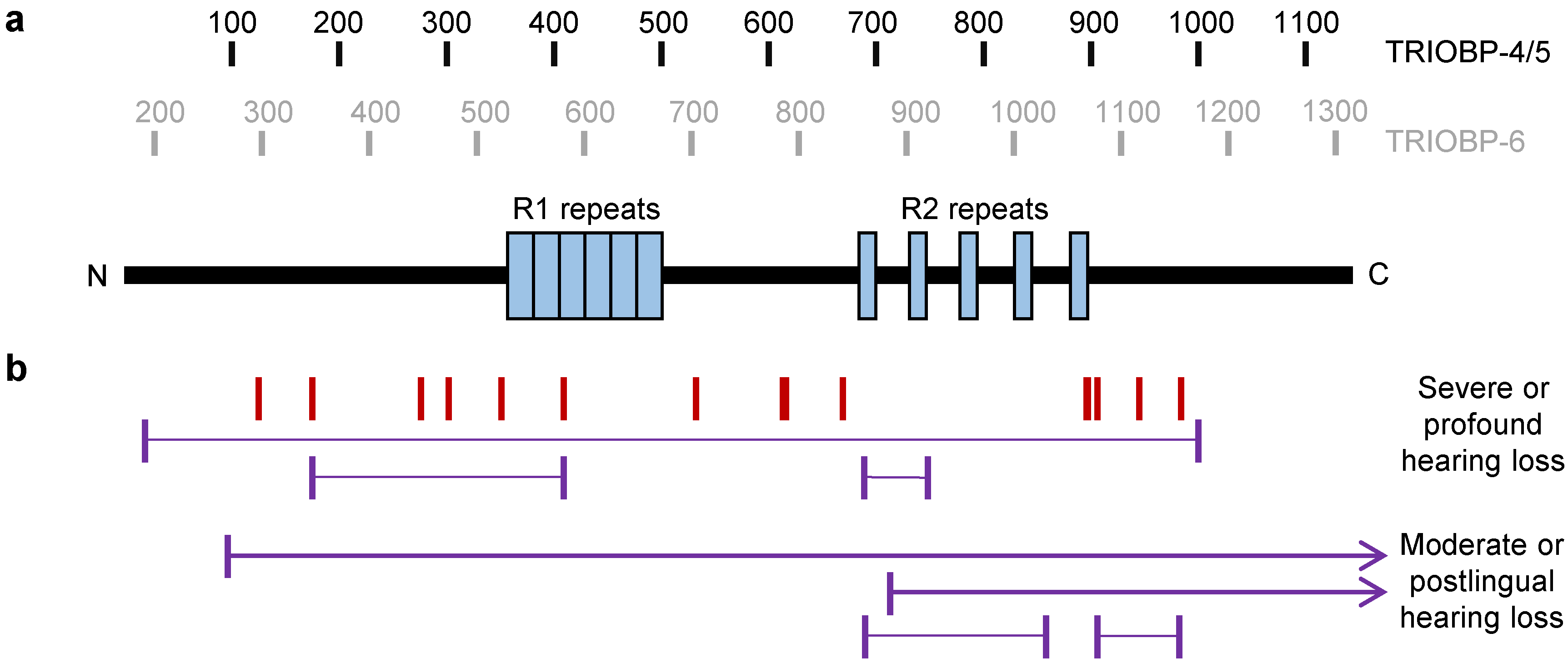 Molecules 25 04967 g004 Molecules 25 04967 g004