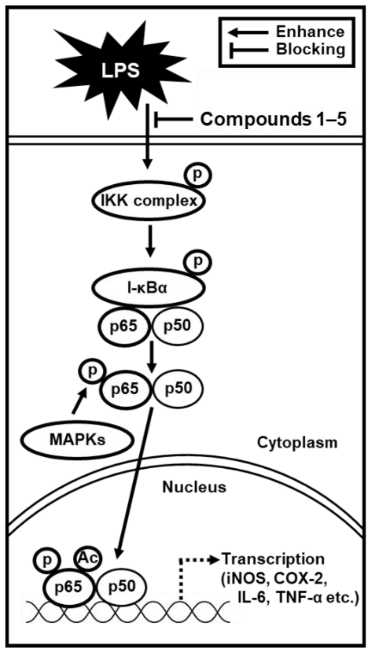 Molecules 25 04968 g007
