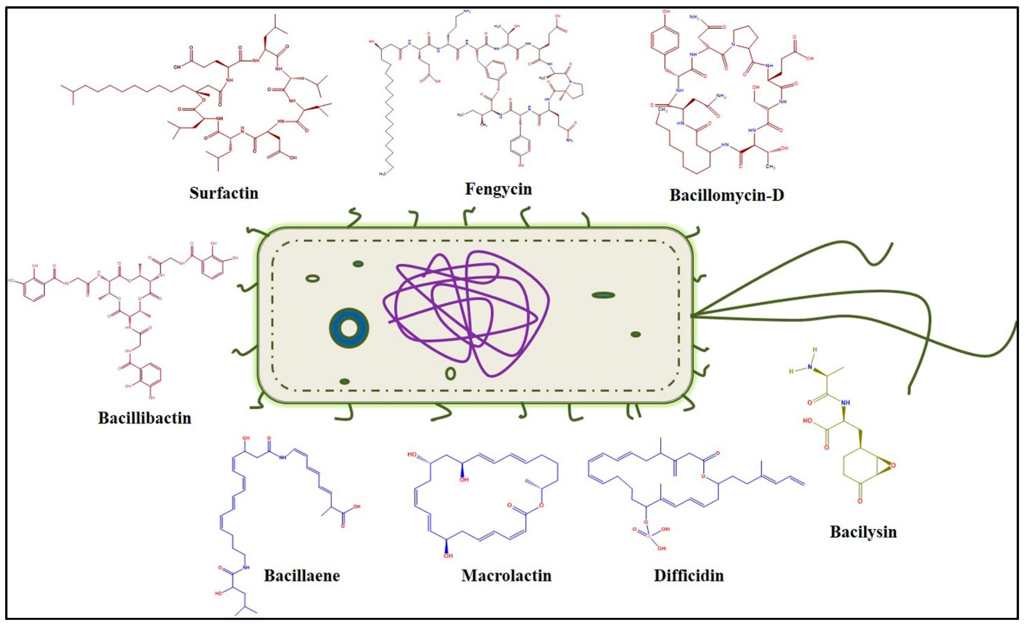 Molecules 25 04973 g001