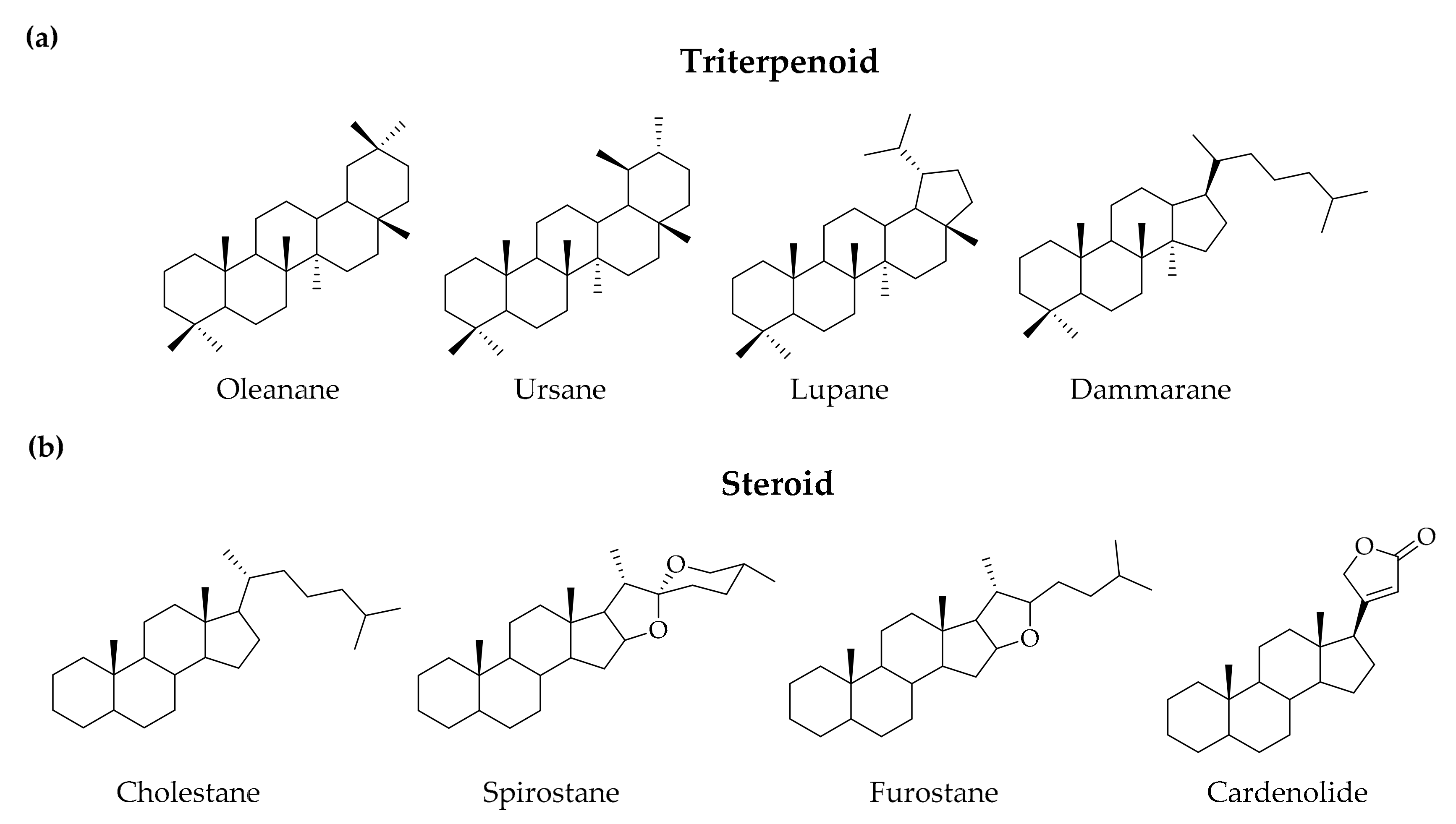 Molecules 25 04974 g001