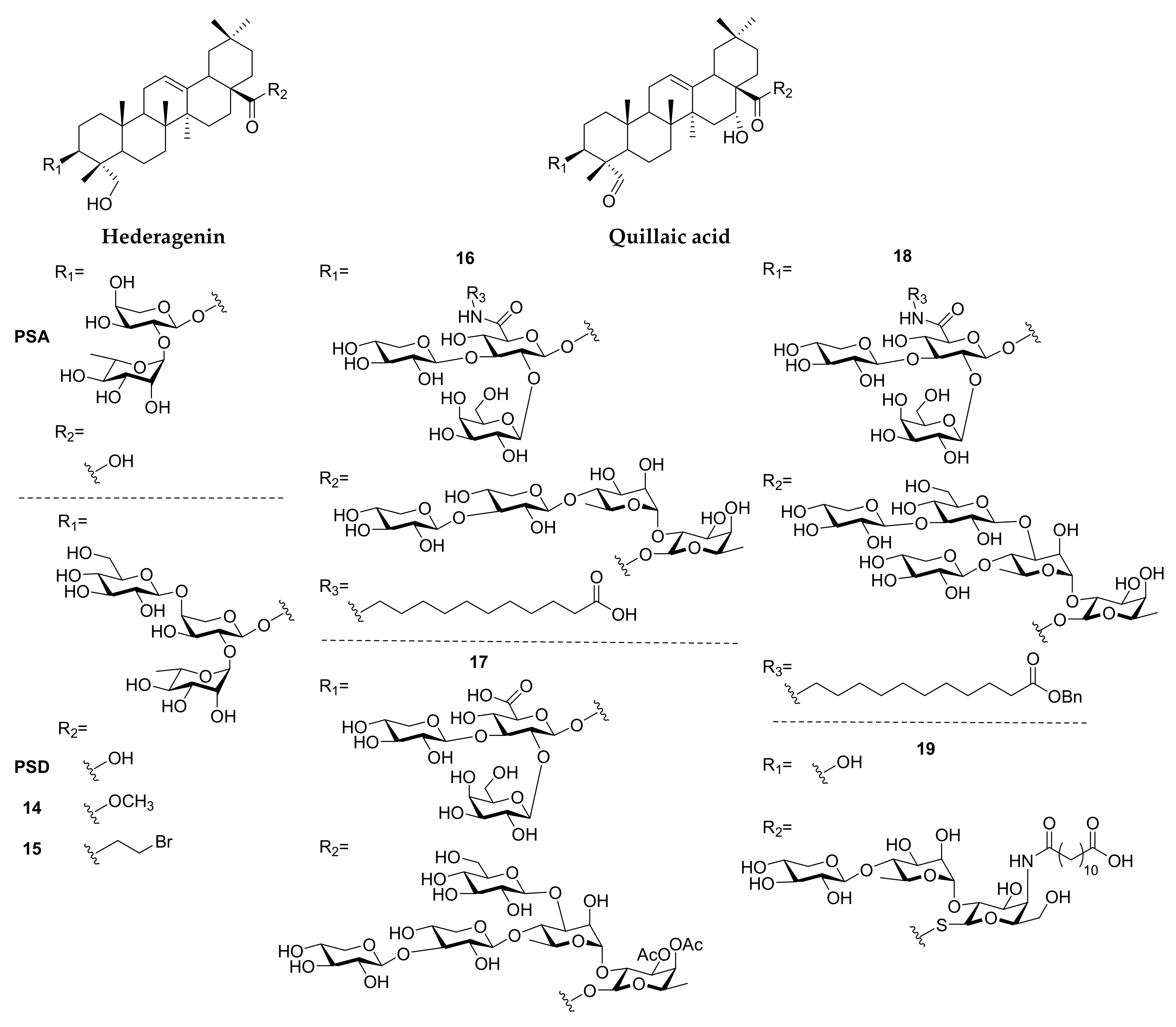 Molecules 25 04974 g003