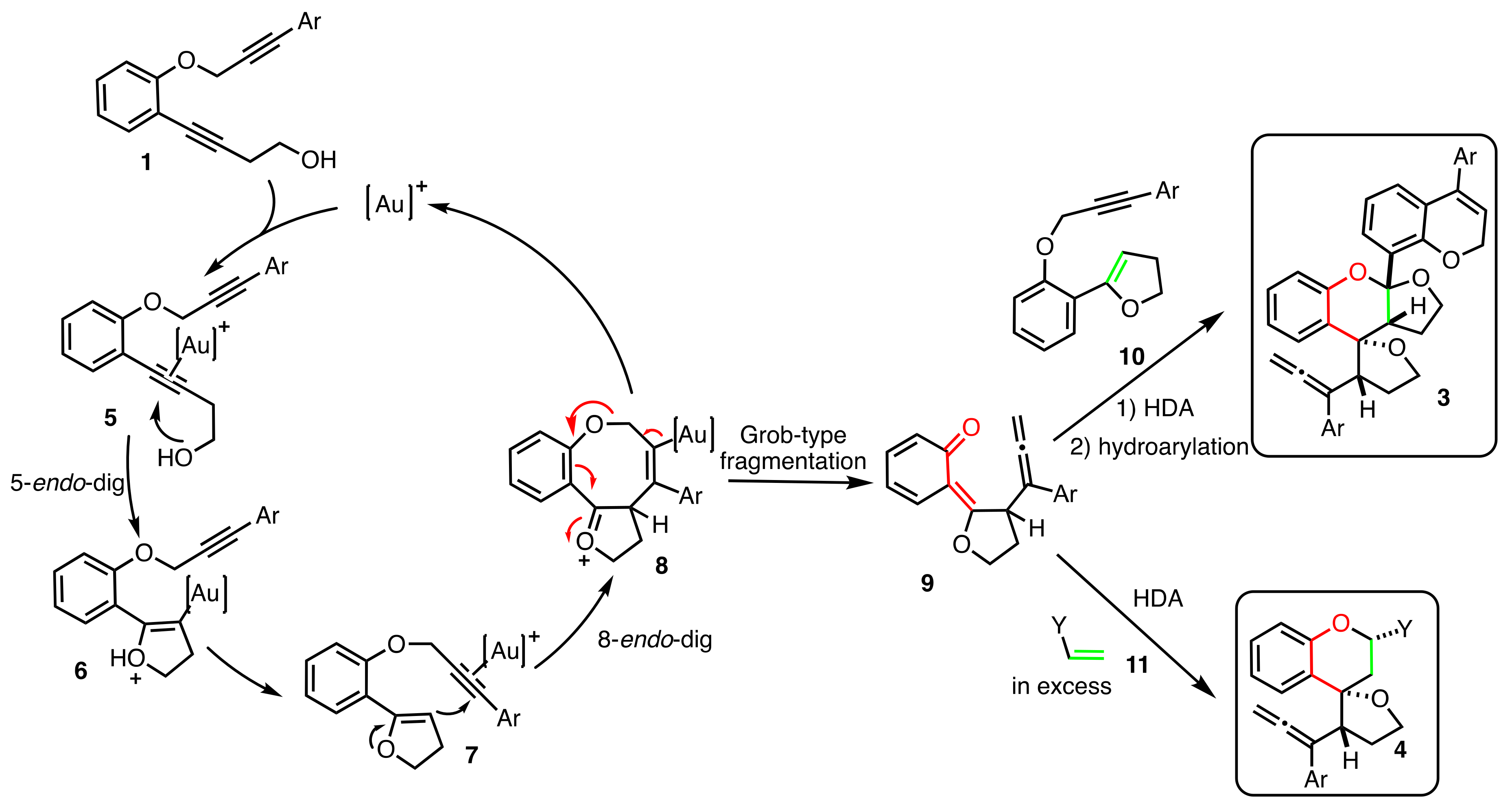 Molecules 25 04976 sch002 Molecules 25 04976 sch002