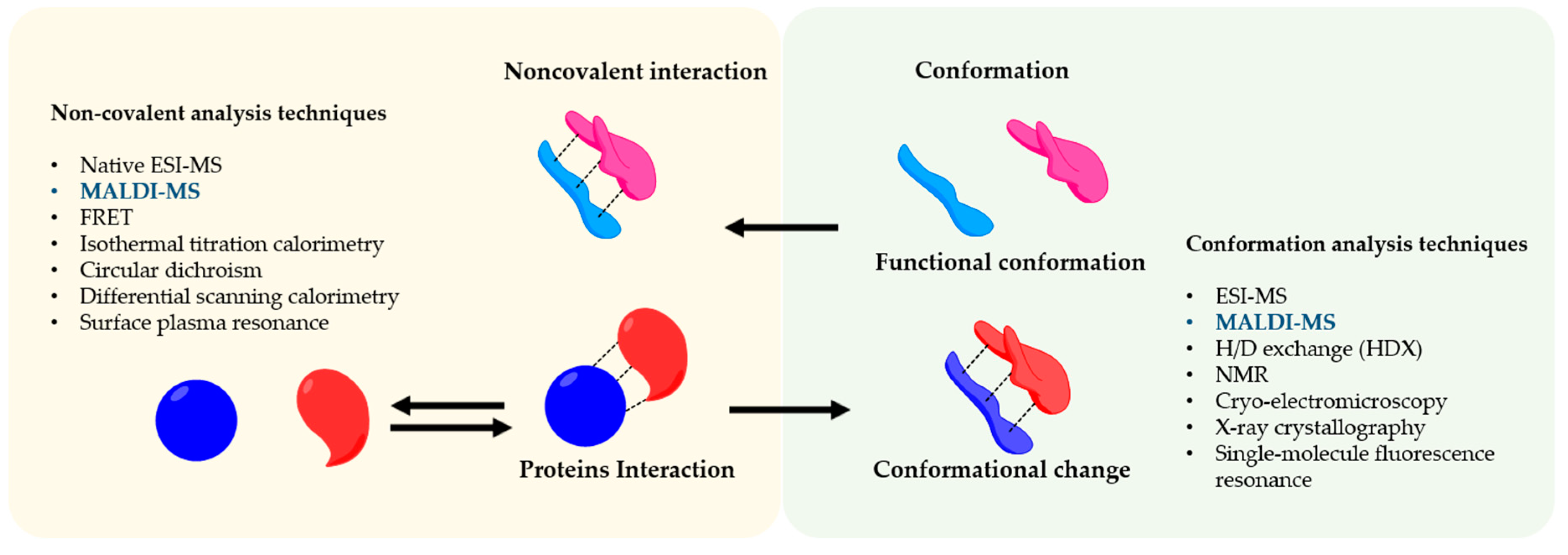 Molecules 25 04979 g001