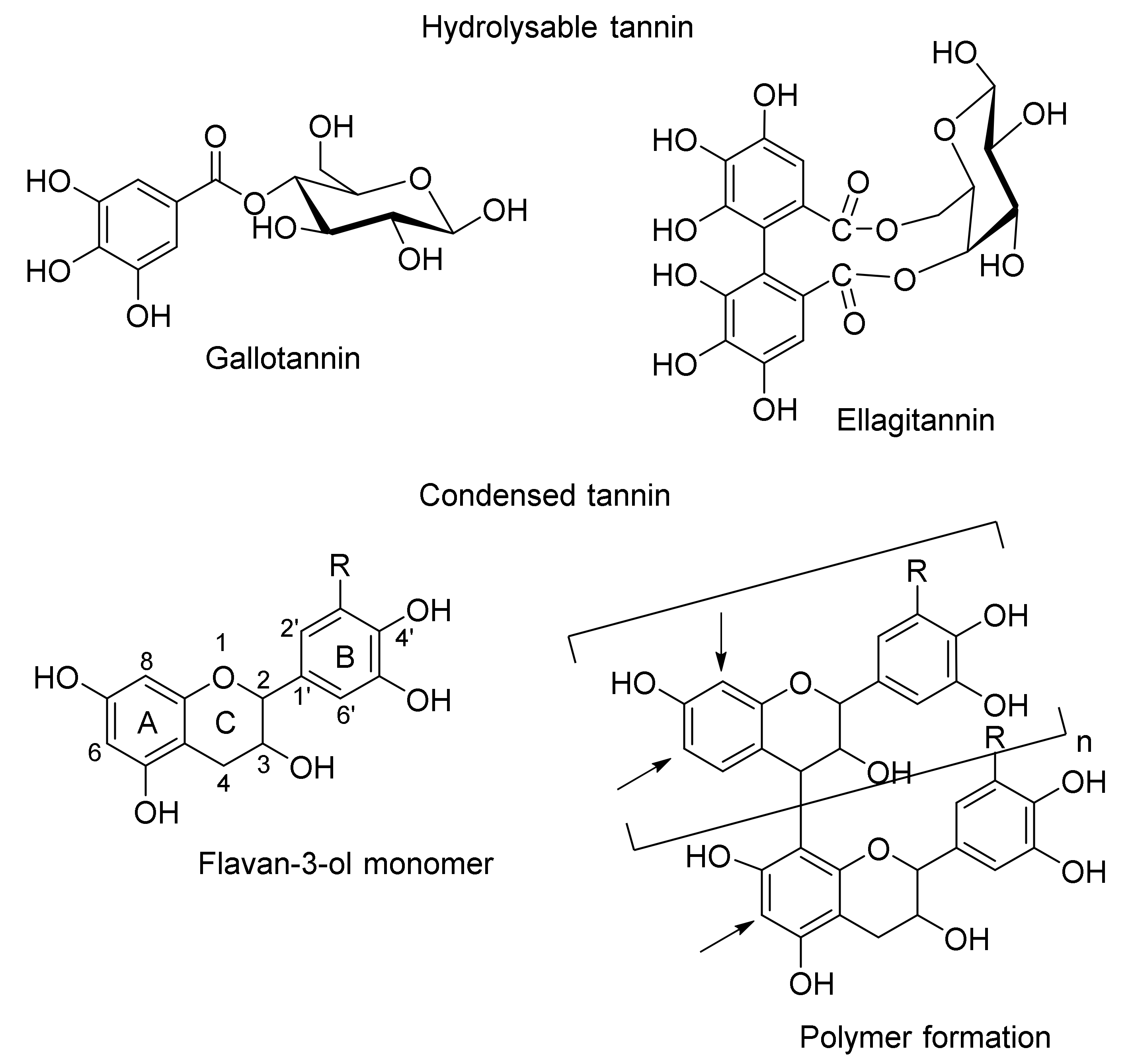Molecules 25 04980 g001