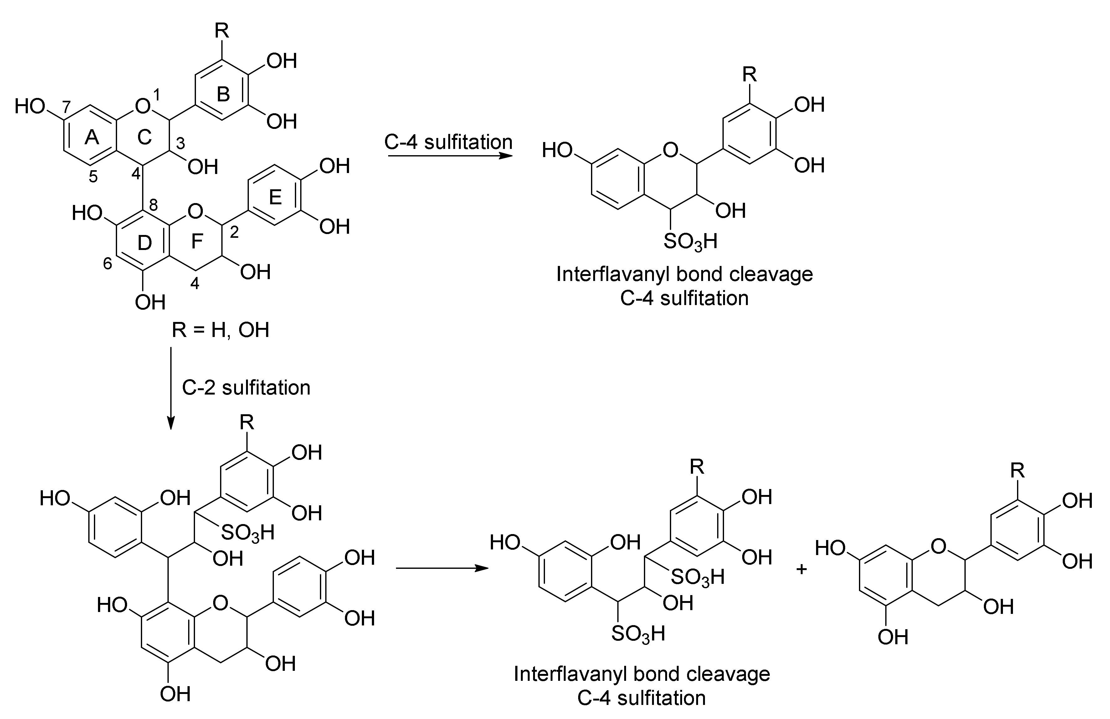 Molecules 25 04980 g003
