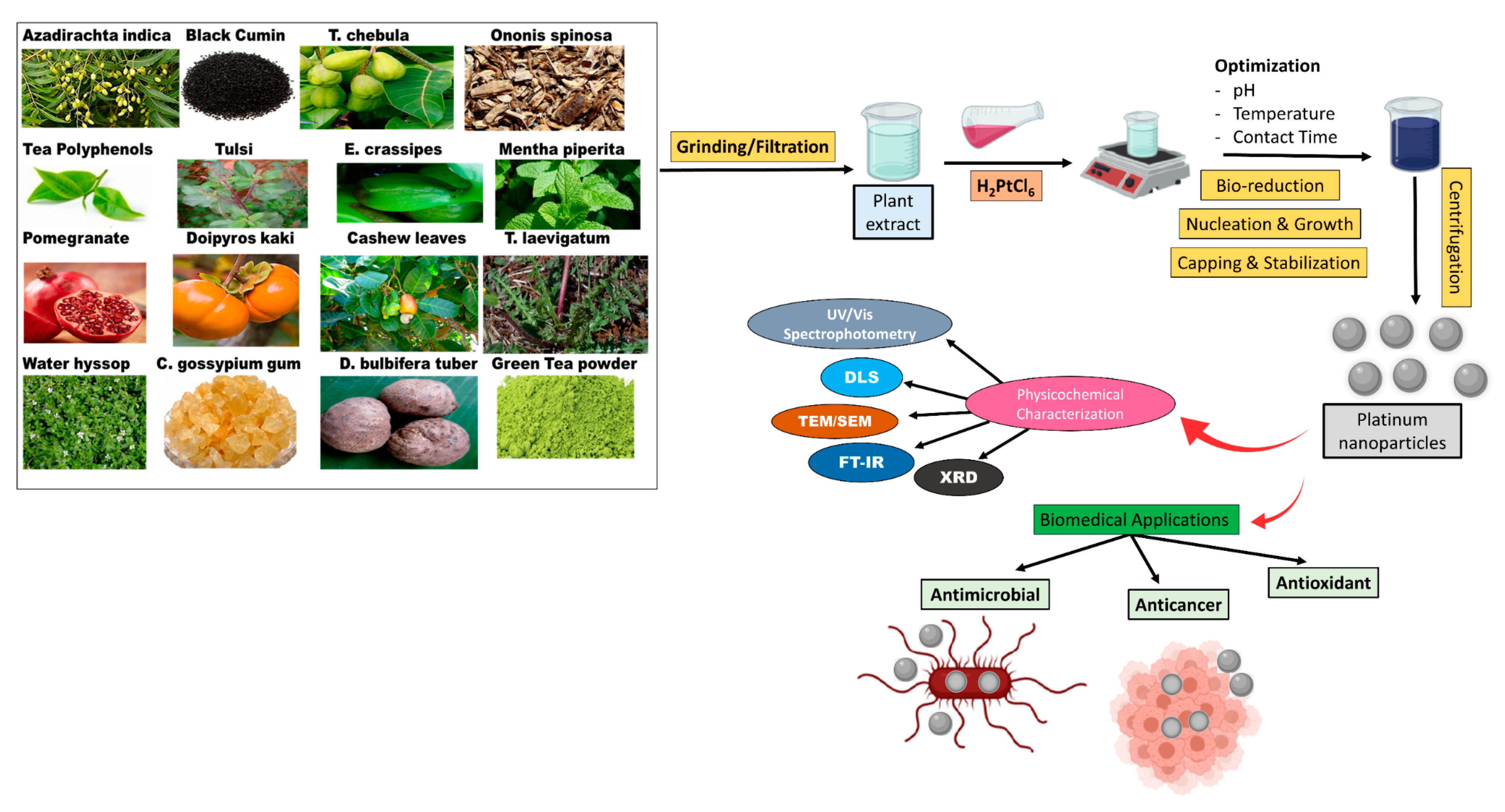 Molecules 25 04981 g001