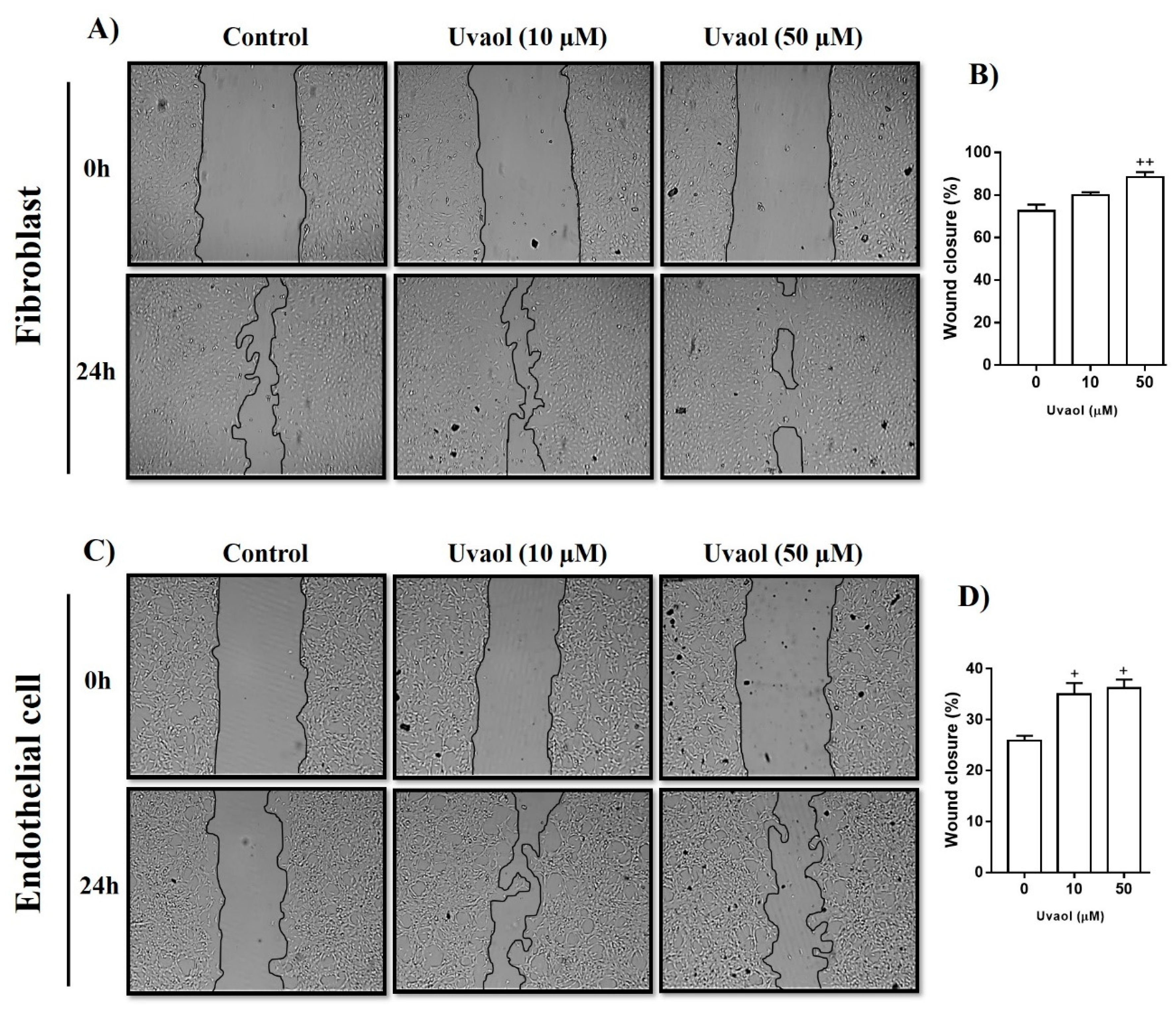 Molecules 25 04982 g003
