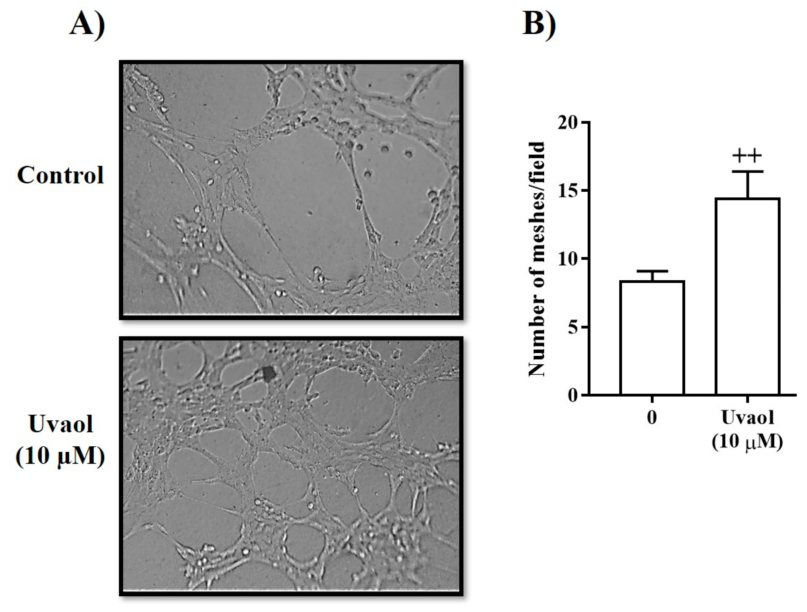 Molecules 25 04982 g005