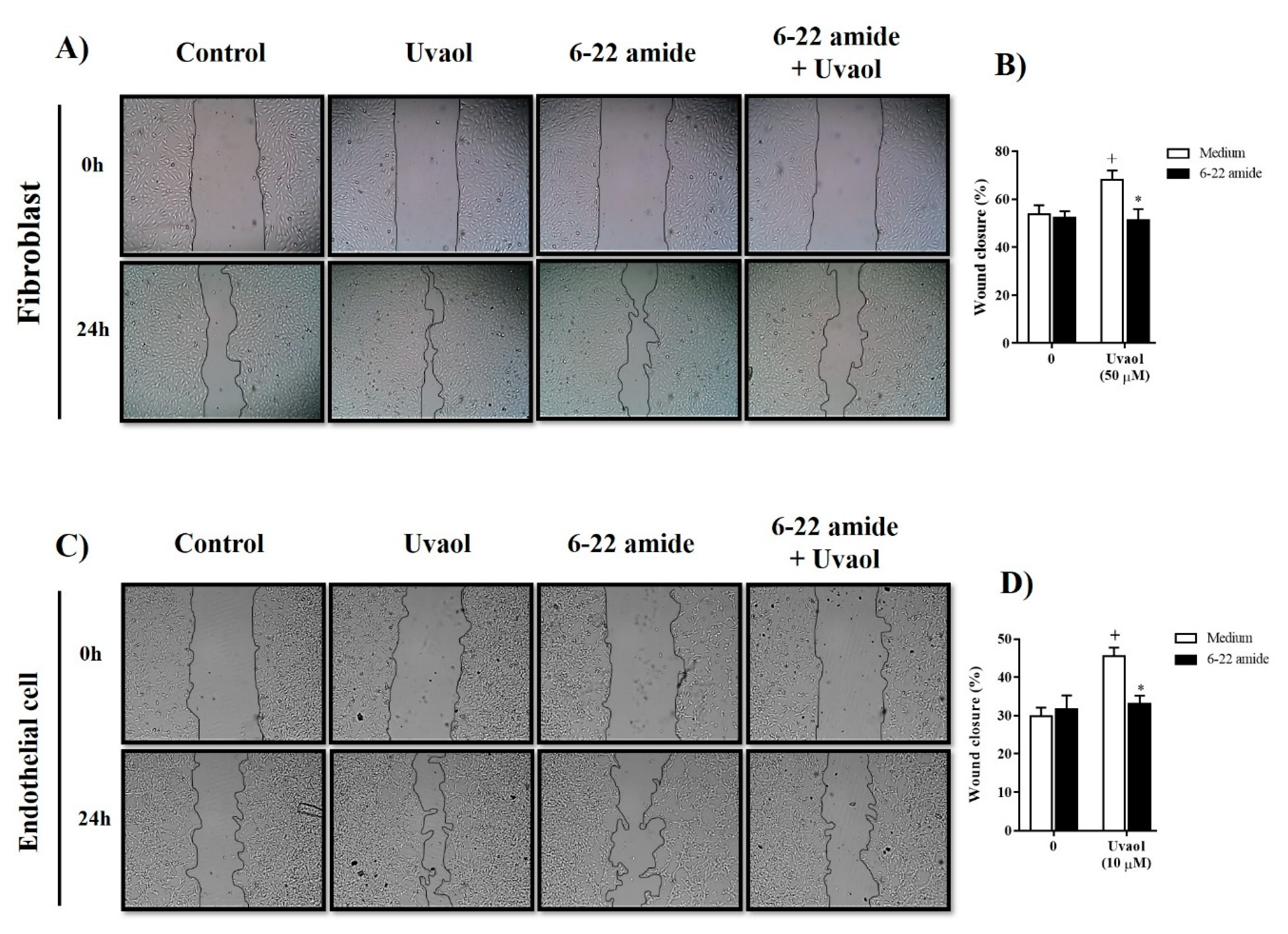 Molecules 25 04982 g006