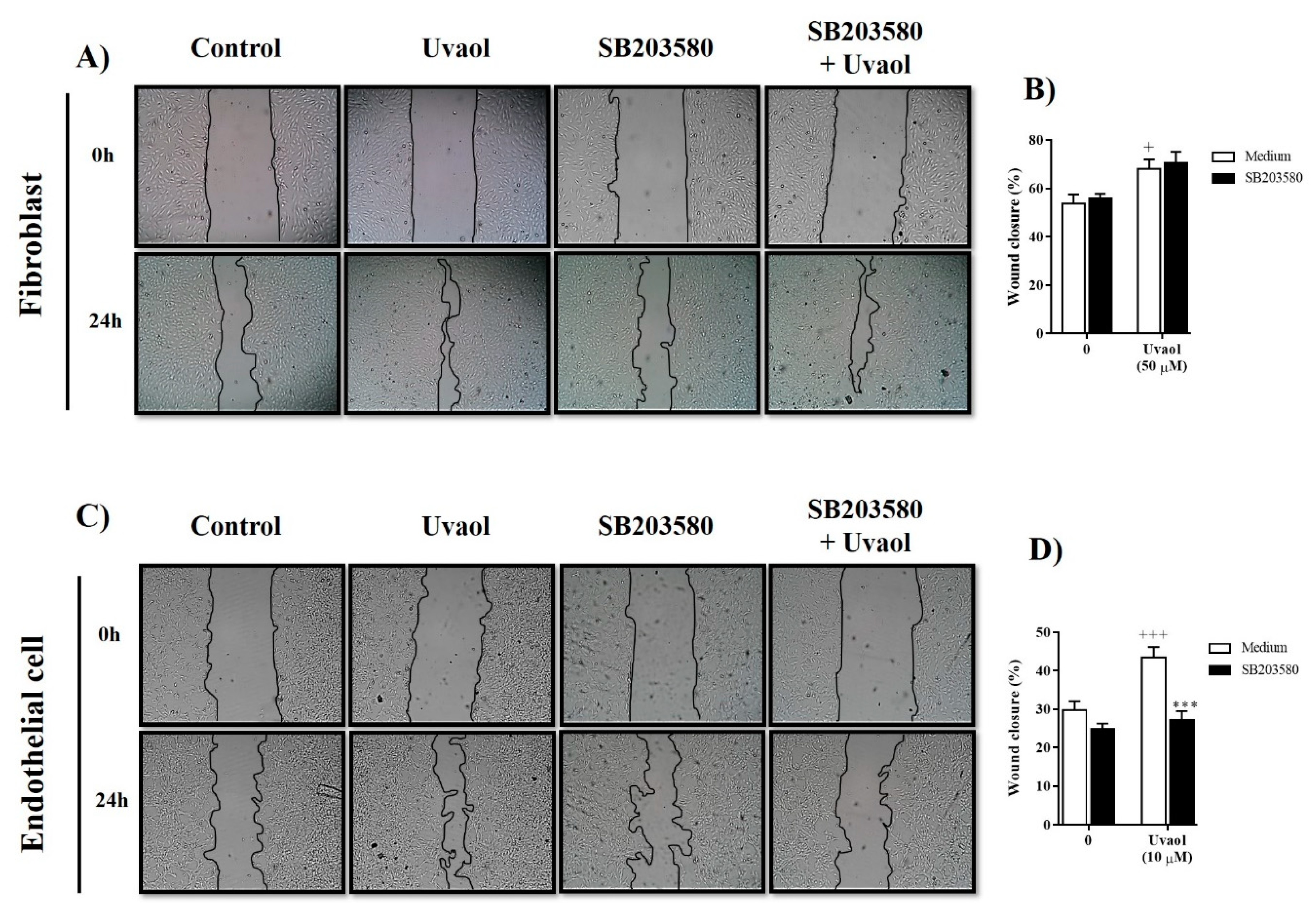 Molecules 25 04982 g007