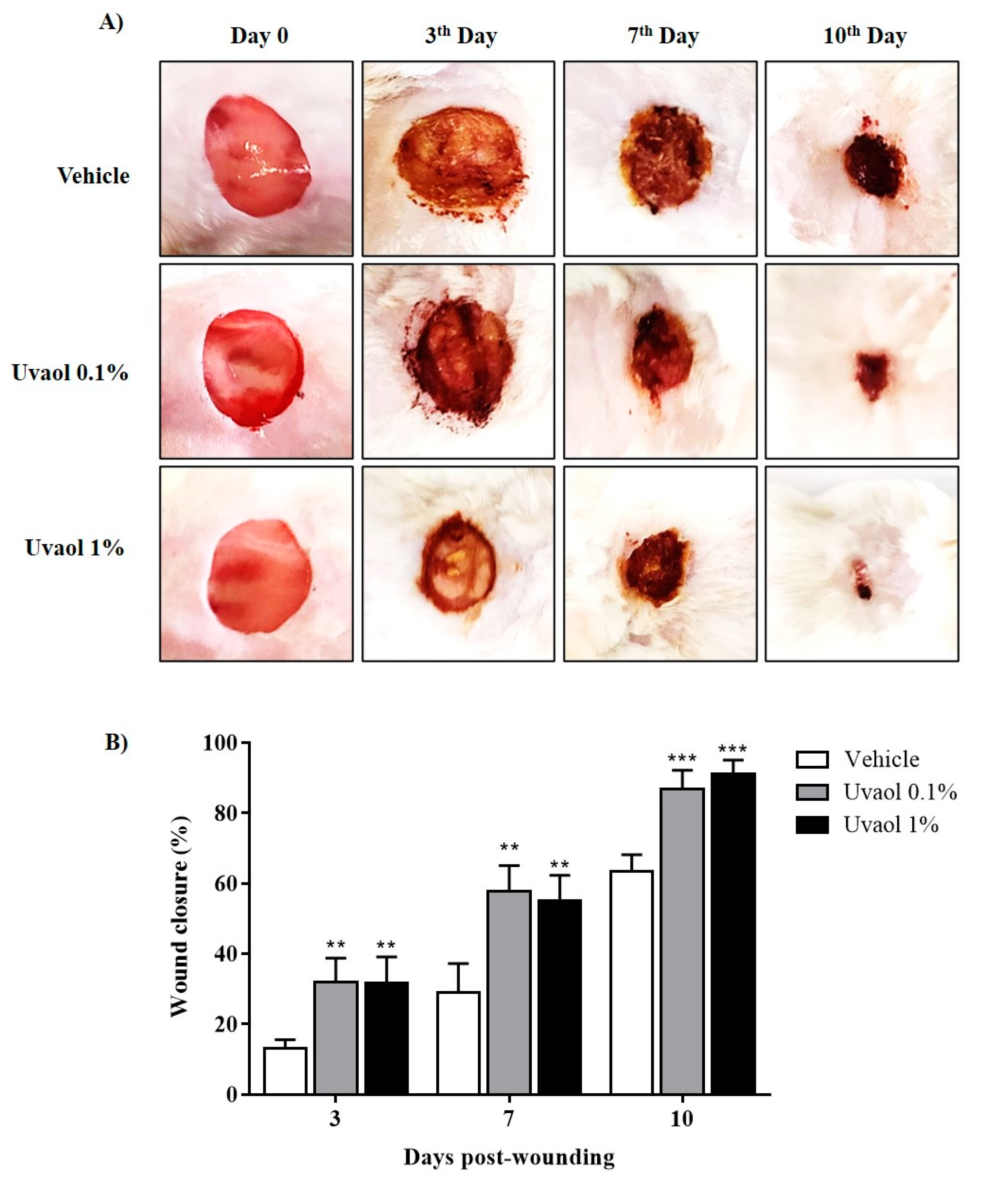 Molecules 25 04982 g008
