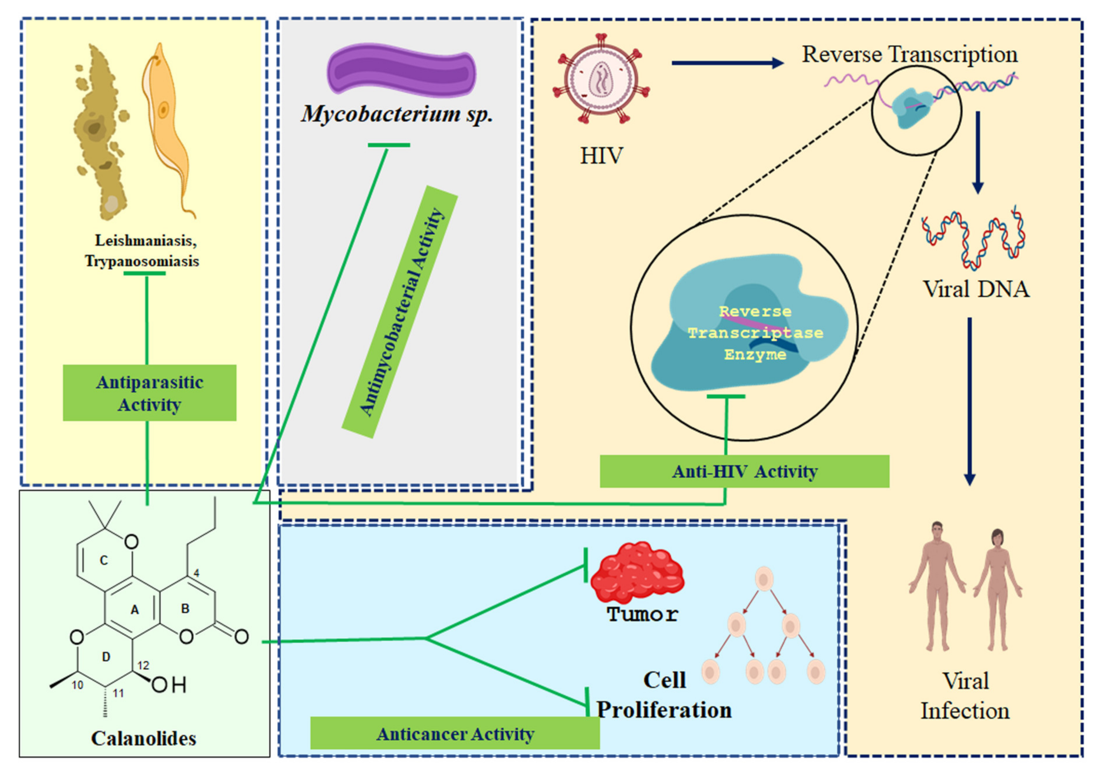 Molecules 25 04983 g003