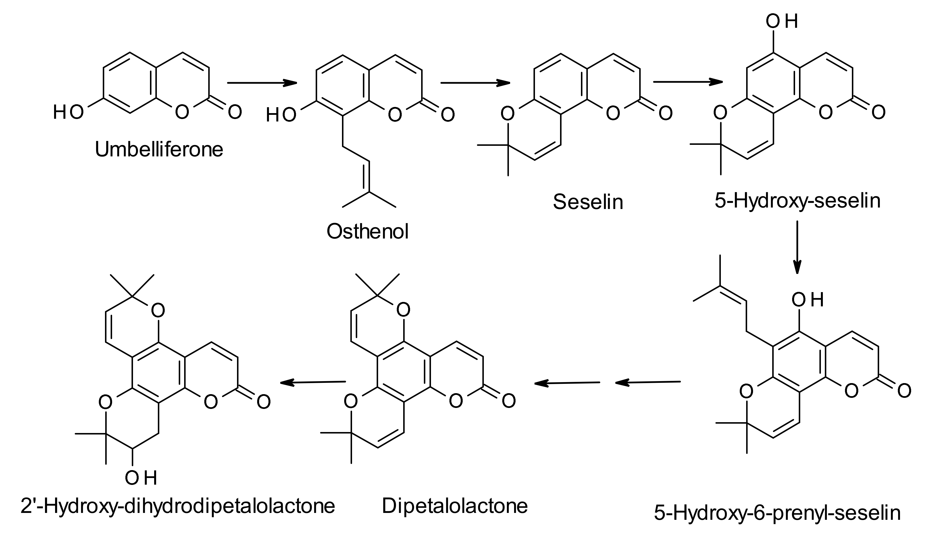 Molecules 25 04983 sch001