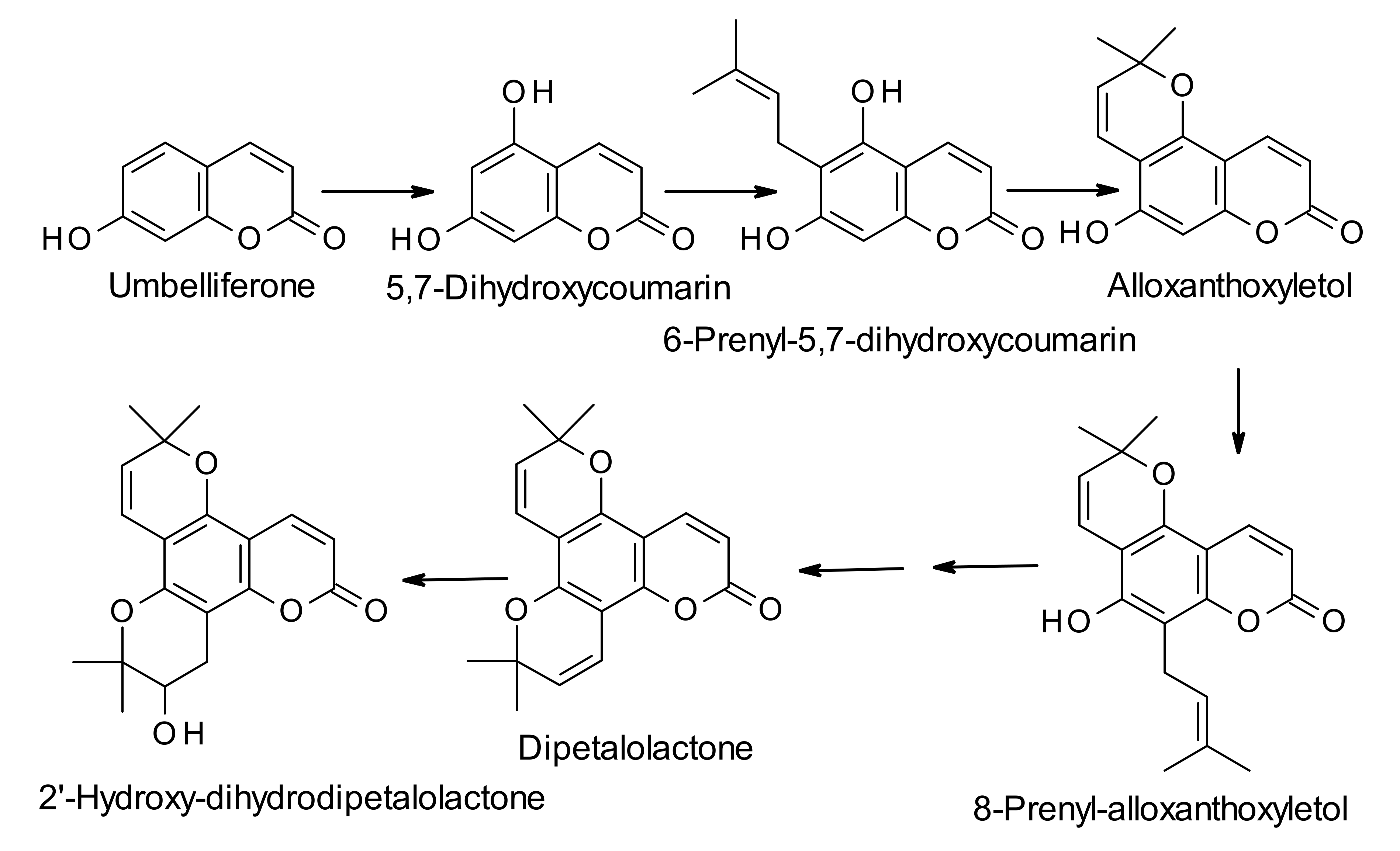Molecules 25 04983 sch002
