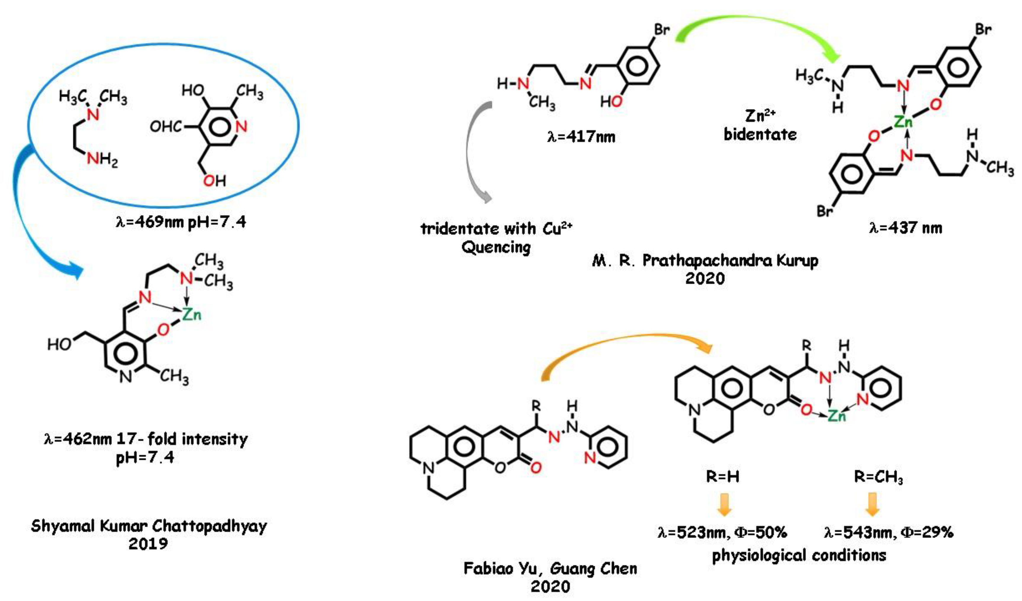 Molecules 25 04984 g007