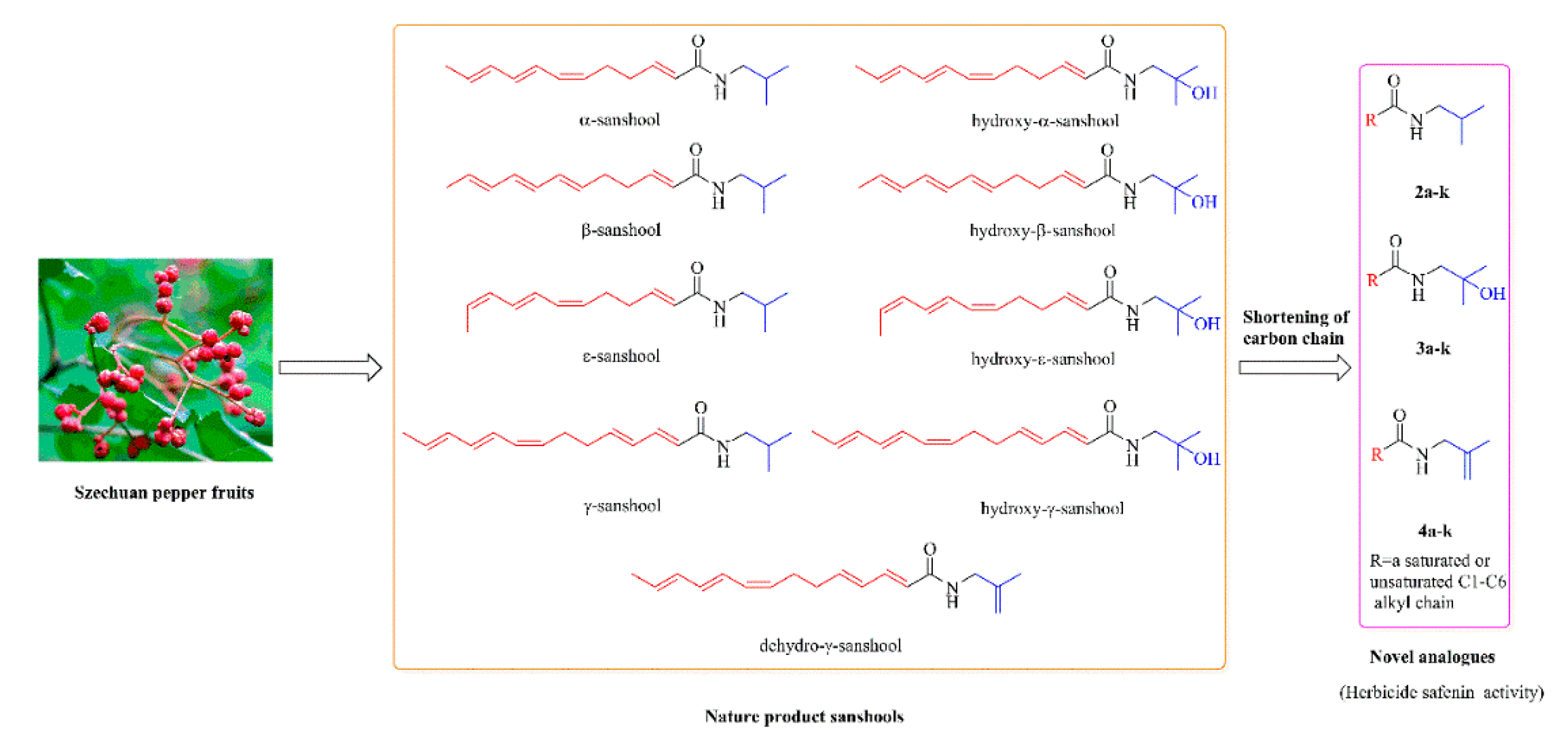 Molecules 25 04986 sch001