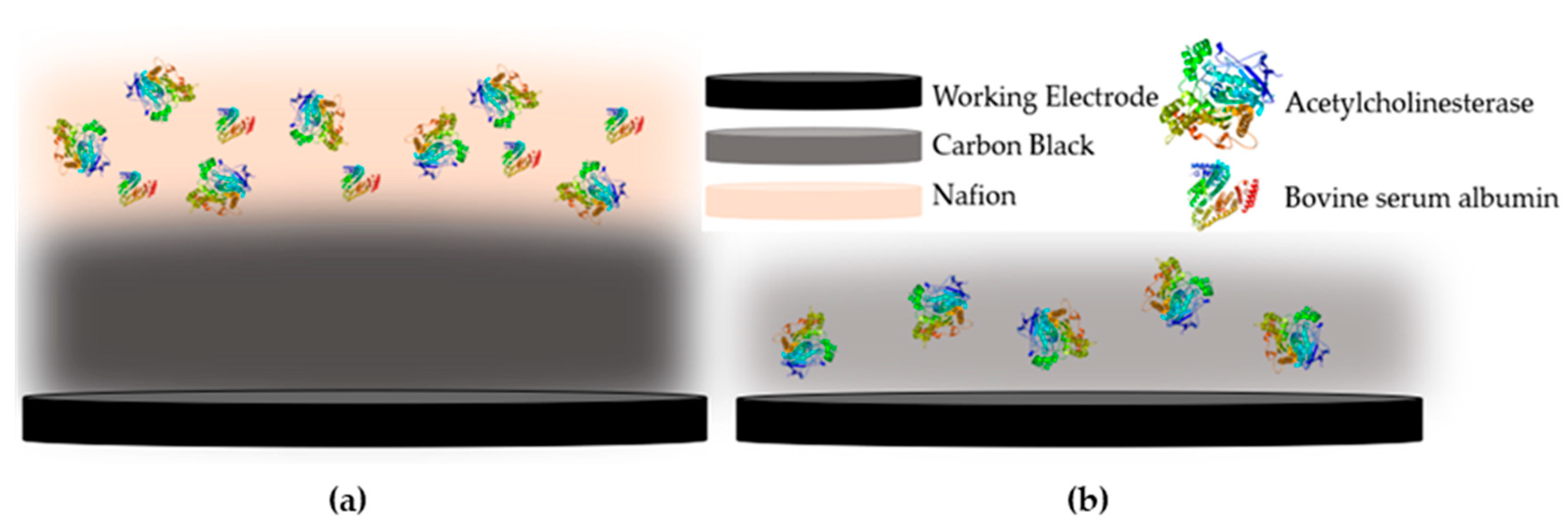 Molecules 25 04988 g002