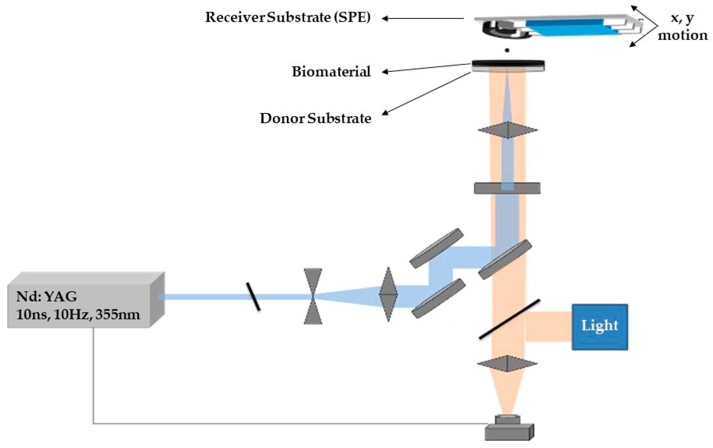 Molecules 25 04988 g011
