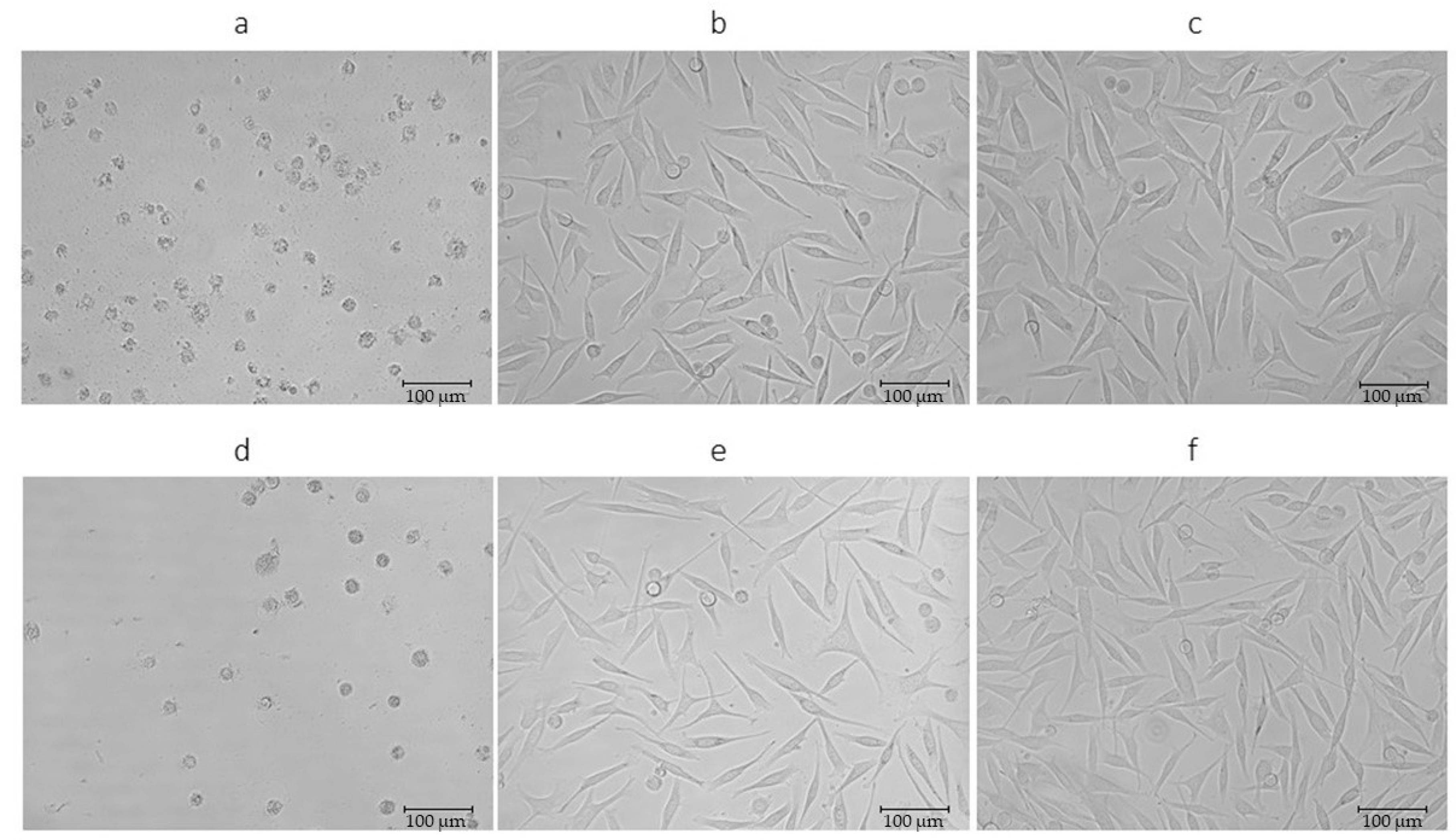 Molecules 25 04992 g004 Molecules 25 04992 g004