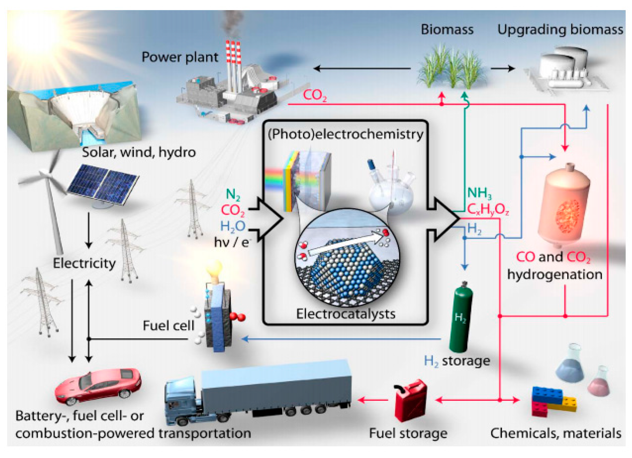 Molecules 25 04996 g008