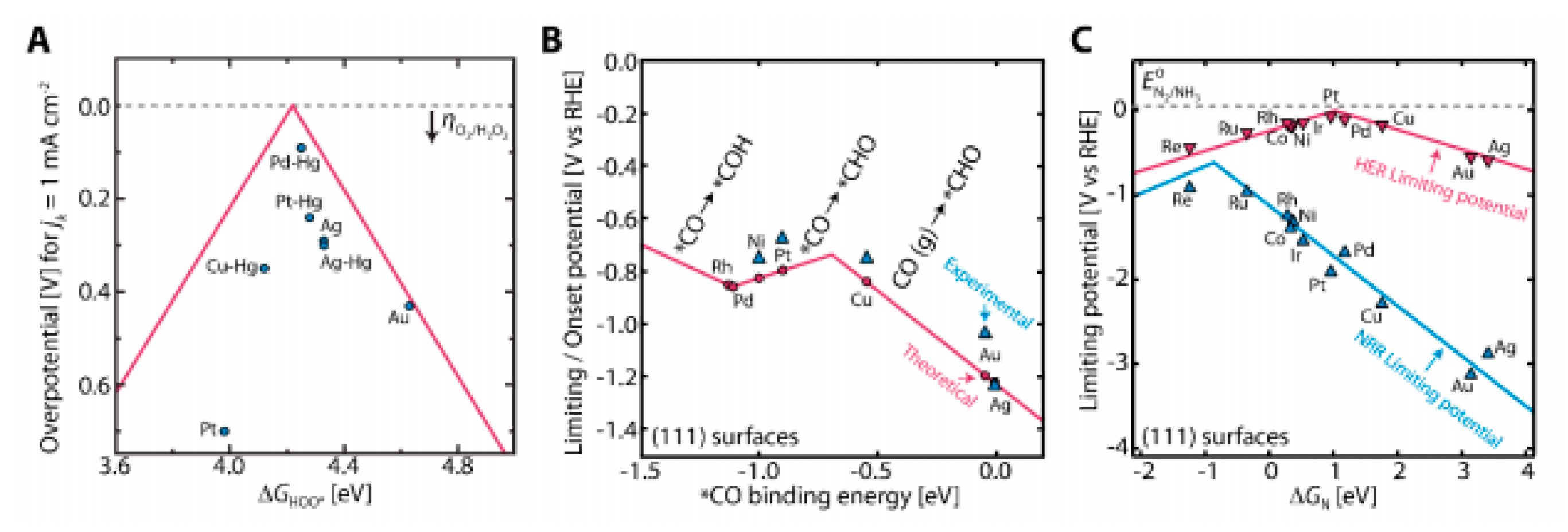 Molecules 25 04996 g012