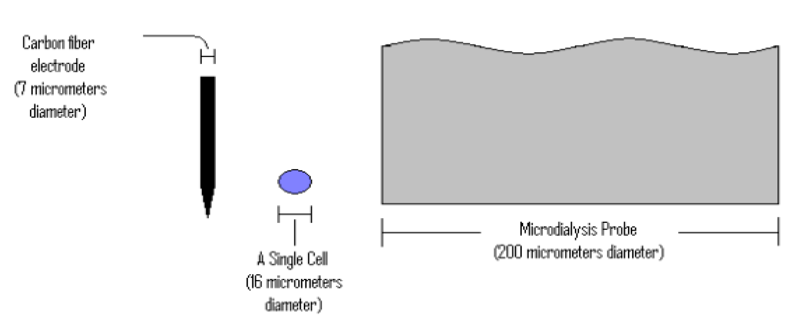 Molecules 25 04996 g014