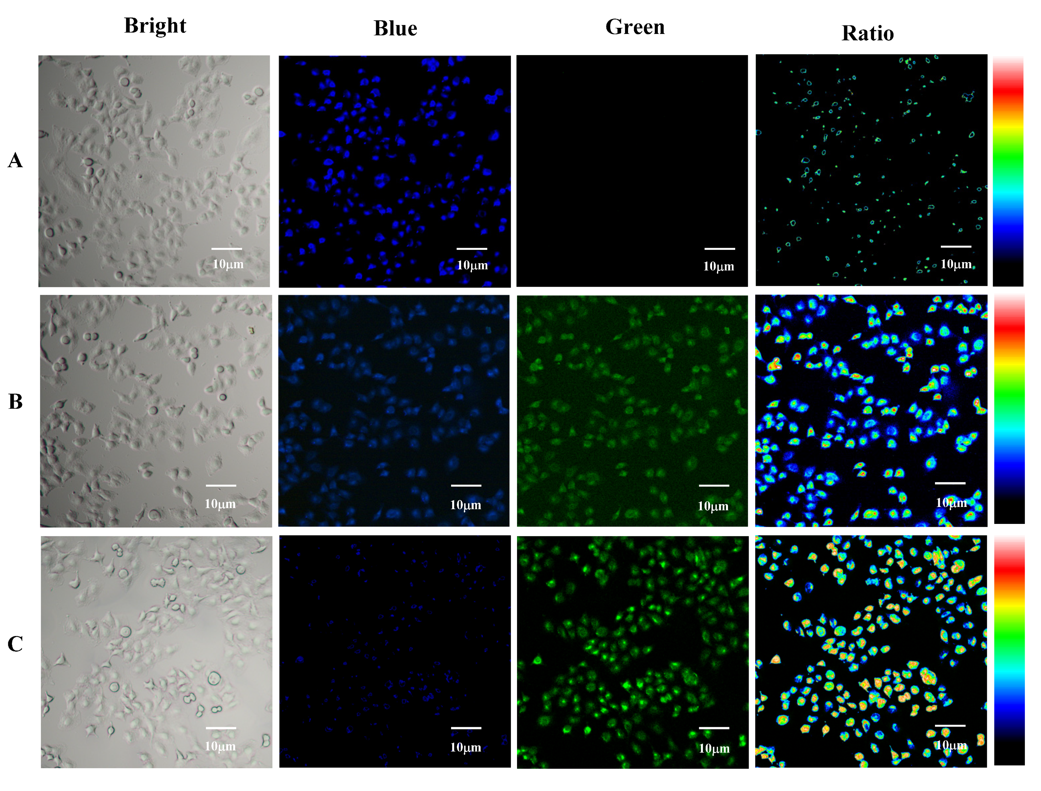 Molecules 25 04999 g006