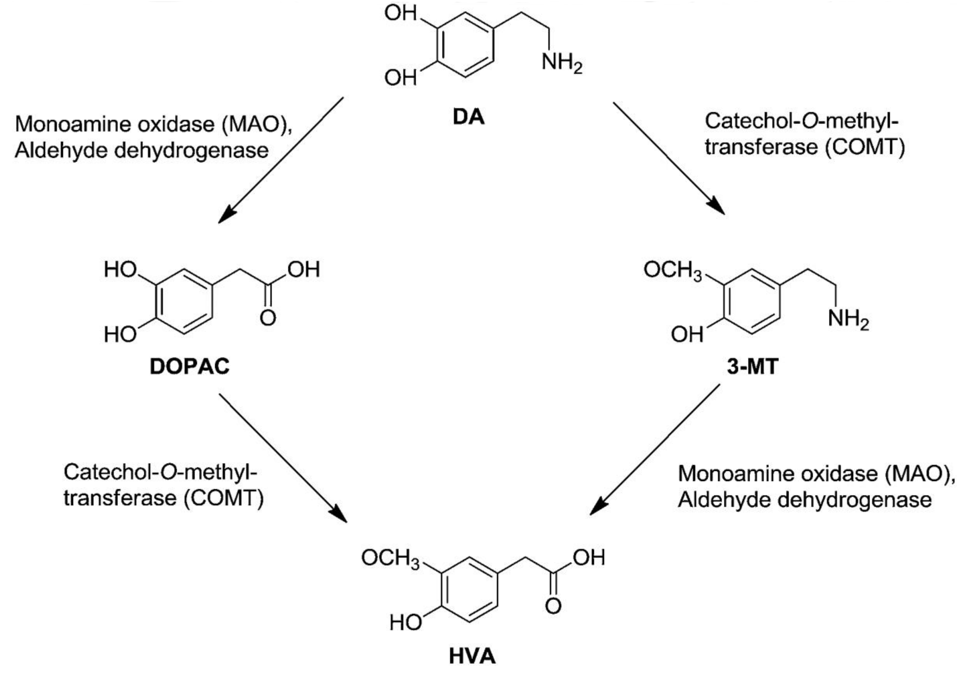 Molecules 25 05000 g006
