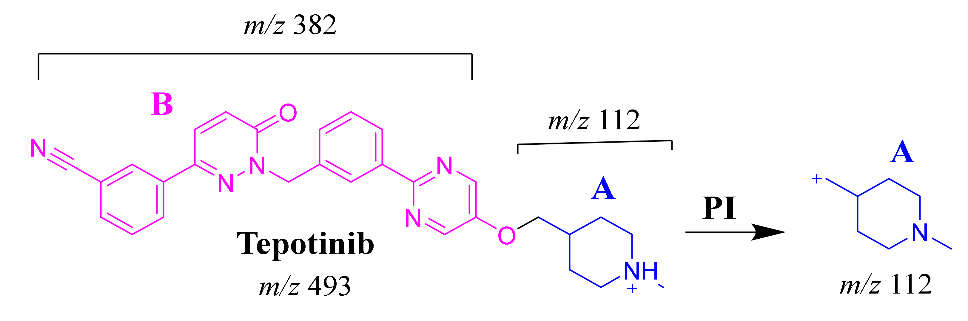 Molecules 25 05004 sch001