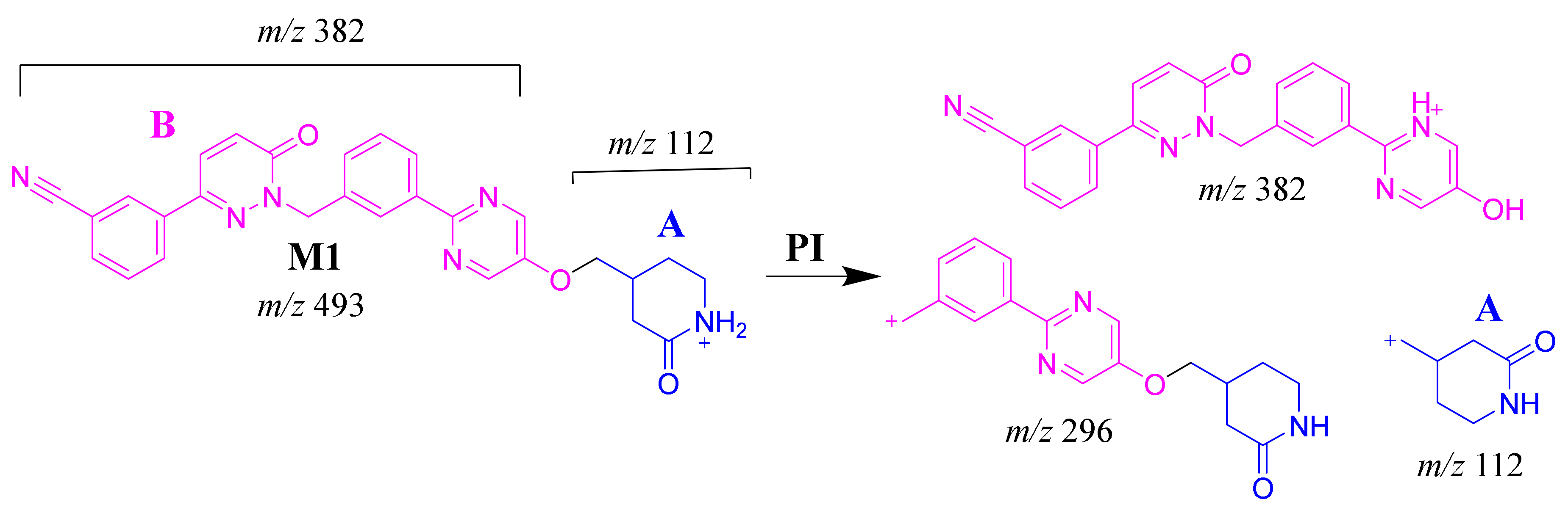 Molecules 25 05004 sch002